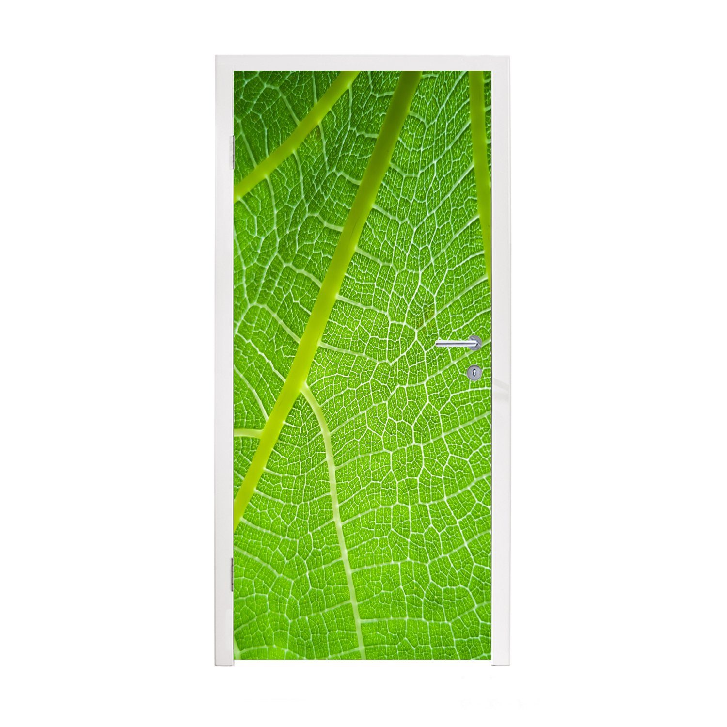 MuchoWow Türtapete Sonnenlicht durch ein Blatt, Matt, bedruckt, (1 St), Fototapete für Tür, Türaufkleber, 75x205 cm