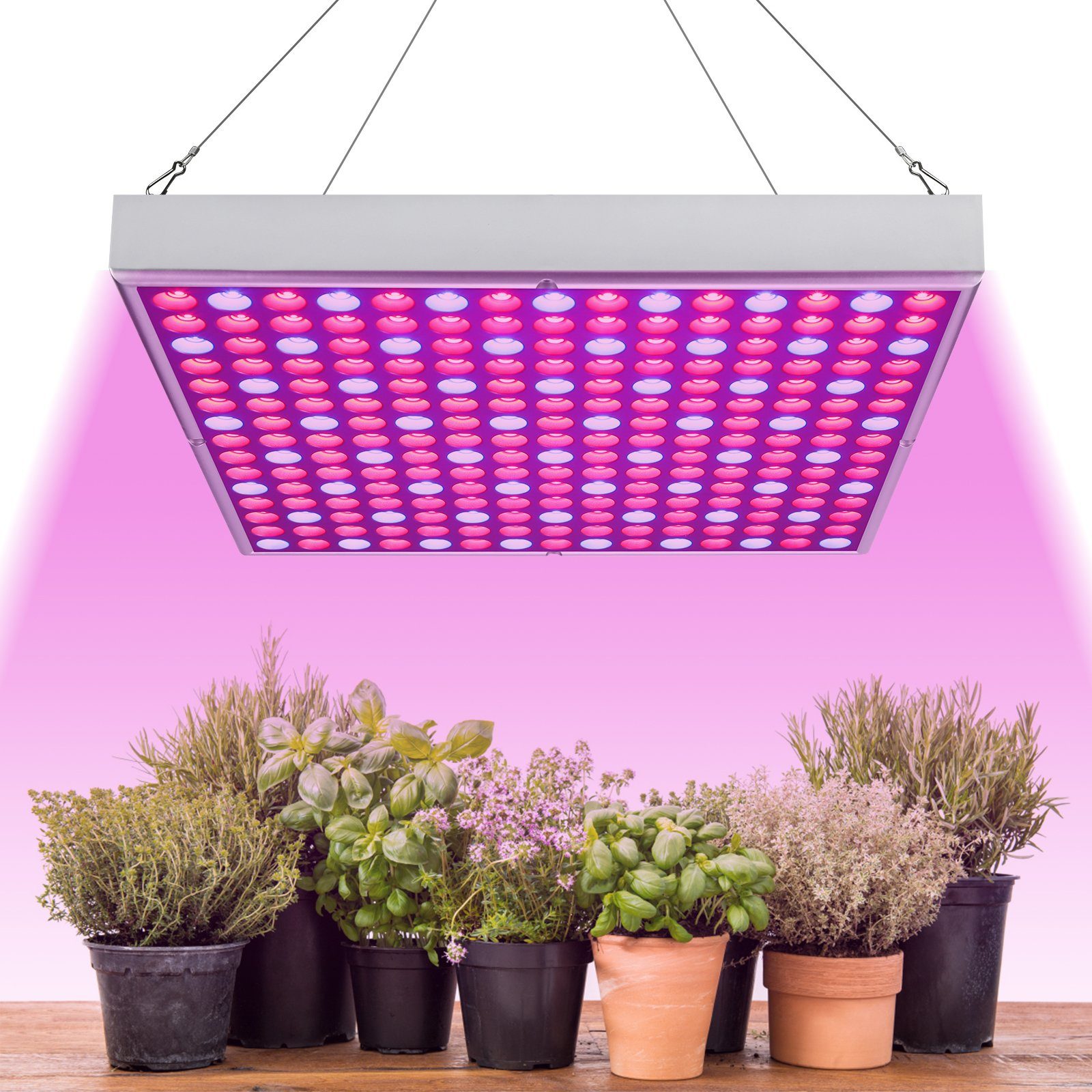 Lospitch Pflanzenlampe 45W LED Pflanzenlampe 225 Rot Blau LEDs Grow Lampe, Vollspektrum, Grow Tent und Greenhouse