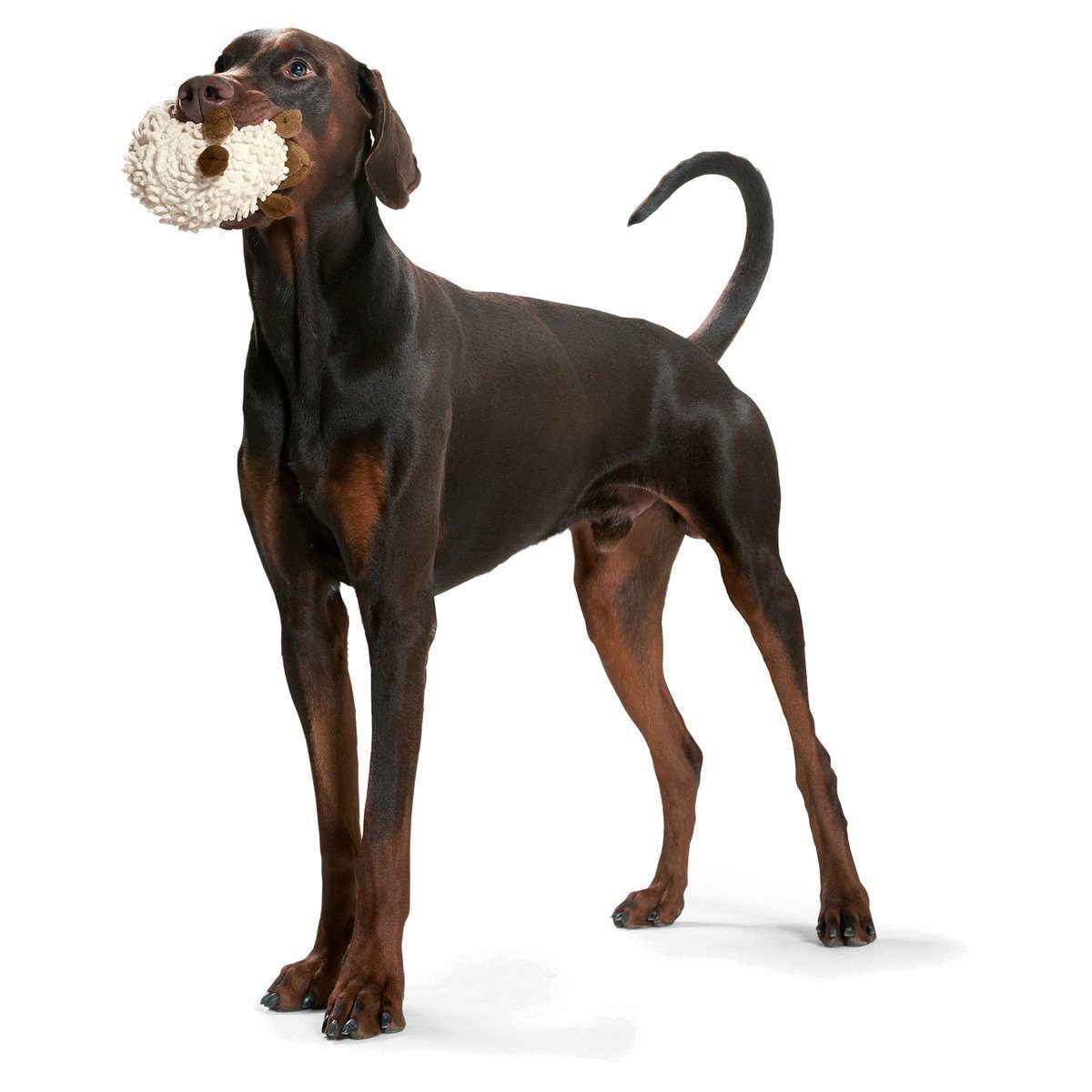 Hunter Tierbedarf Tierkuscheltier Hundespielzeug Snugly Schaf günstig online kaufen