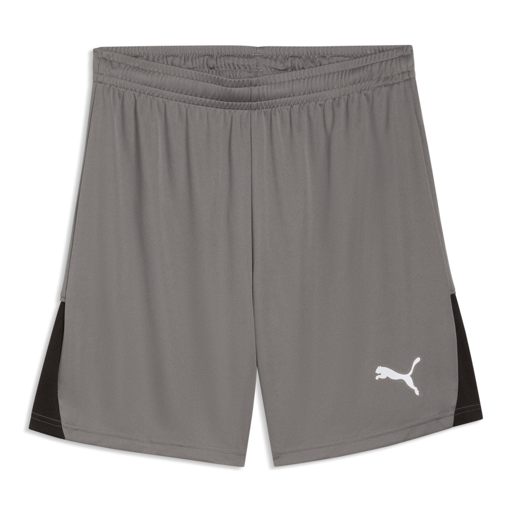 PUMA Trainingsshorts Puma Herren Short teamLIGA26 Shorts 706554