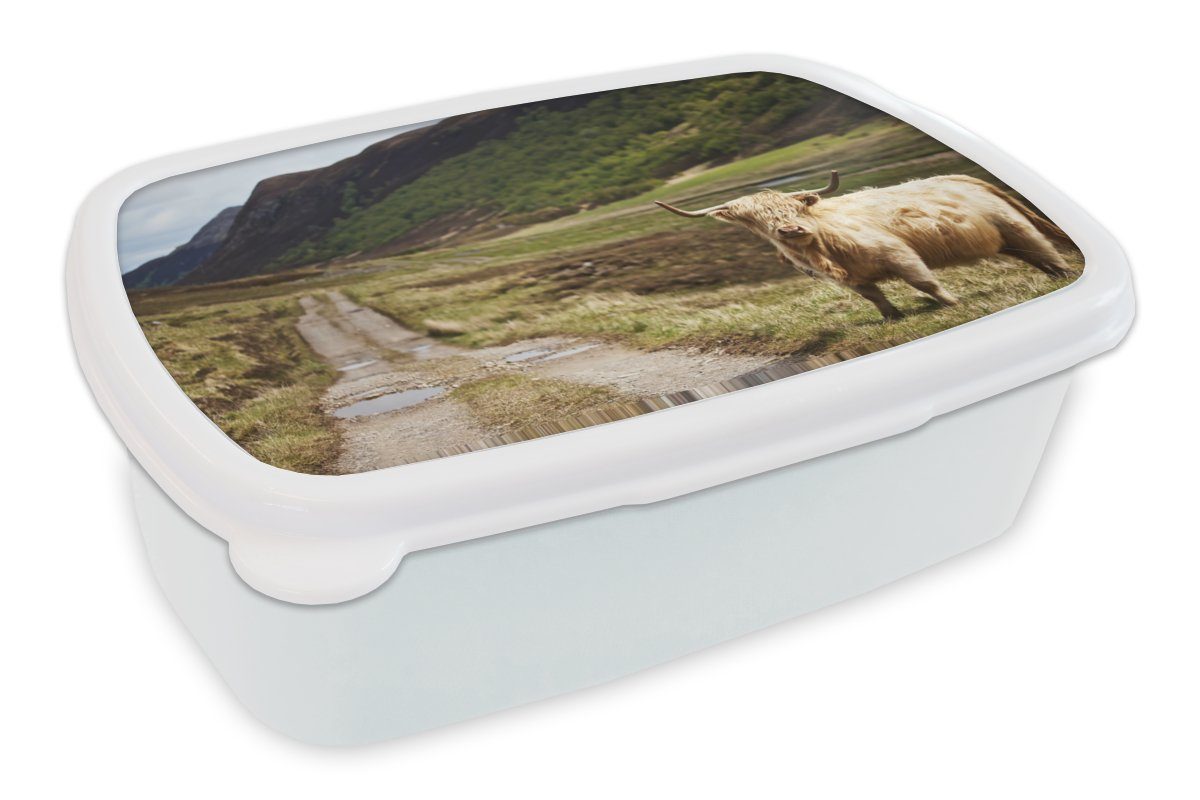 MuchoWow Lunchbox Schottische Highlander - Pfad - Wald, Kunststoff, (2-tlg), Brotbox für Kinder und Erwachsene, Brotdose, für Jungs und Mädchen weiß