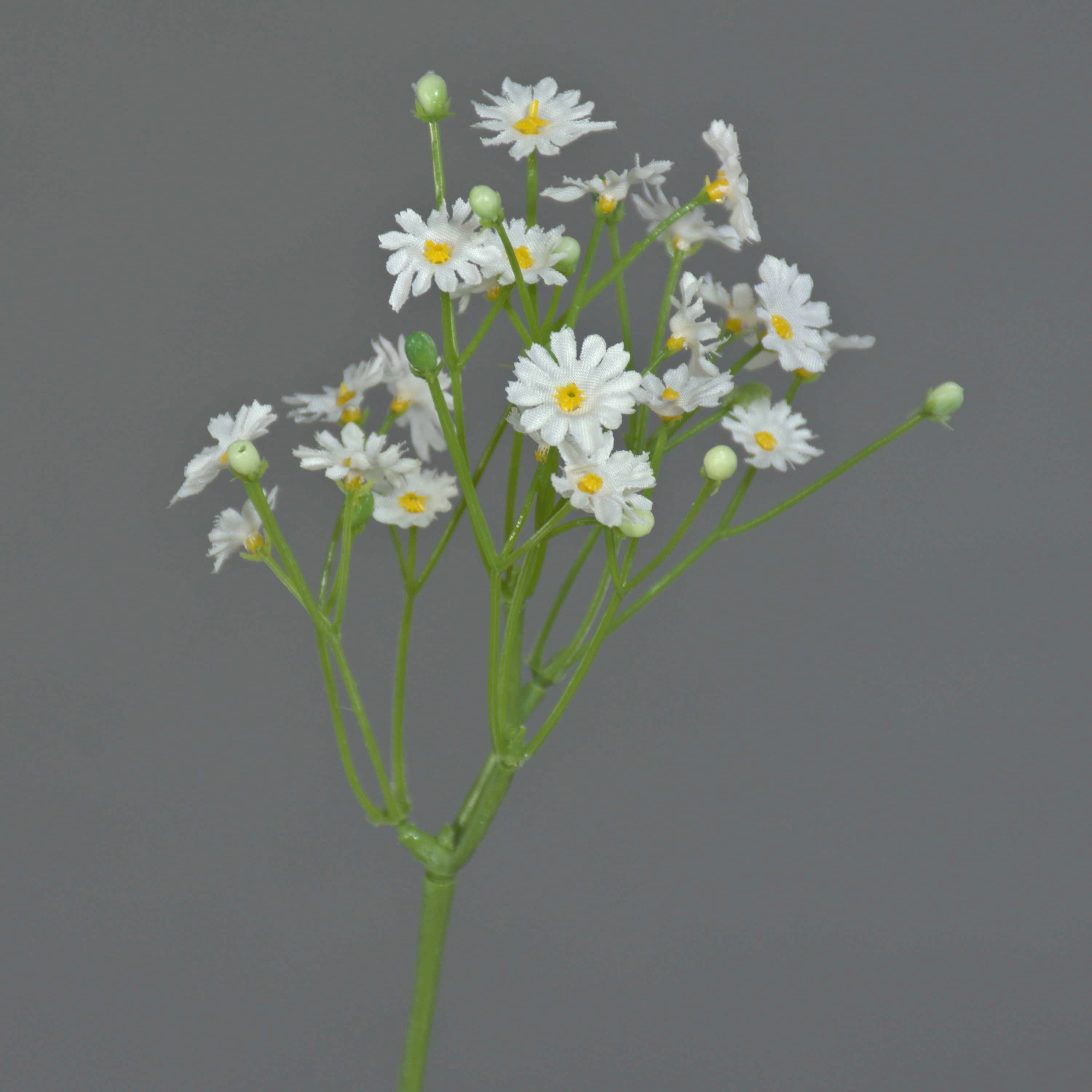 Kunstzweig Künstliches Gänseblümchen Belina, 24 Blüten, weiß, 30cm, Ø 9cm Gänseblümchen, artplants, Höhe 30.0 cm