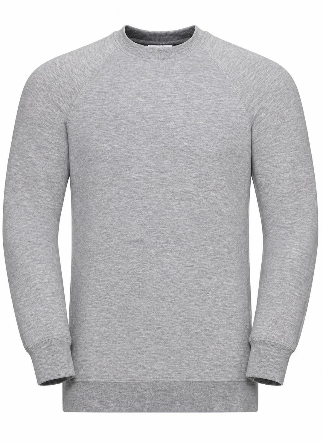 Russell Sweatshirt Raglan-Sweatshirt / Pullover