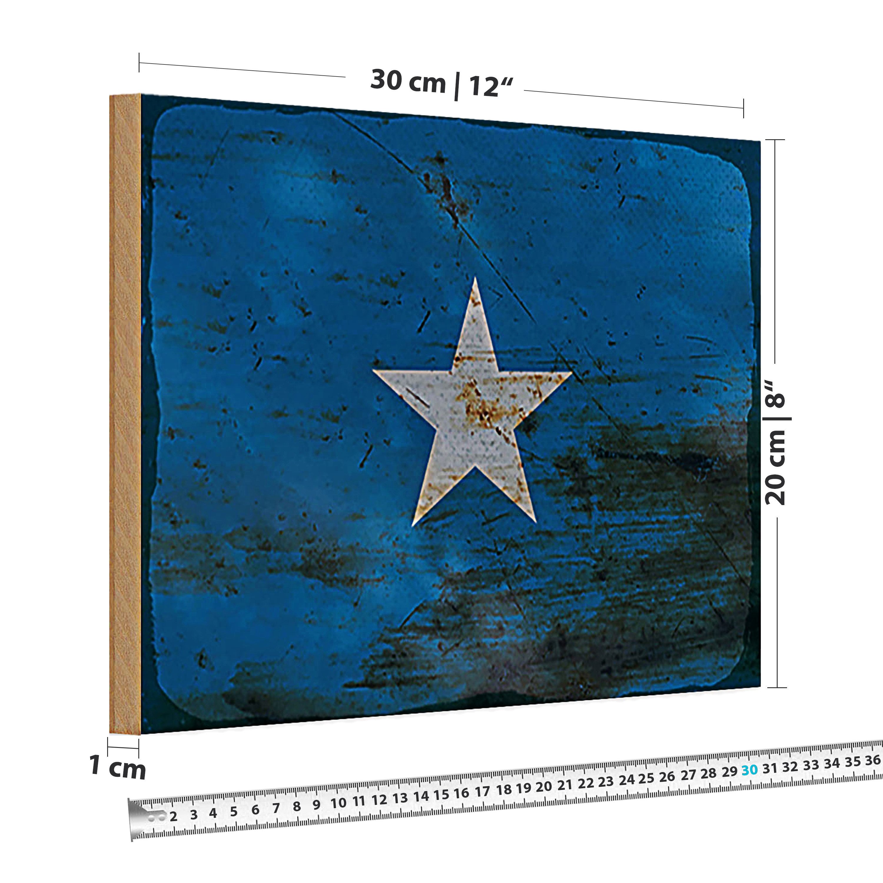 Roomando Holzbild Holzschild Flagge Somalia 30x20cm Flag of Somalia Rost