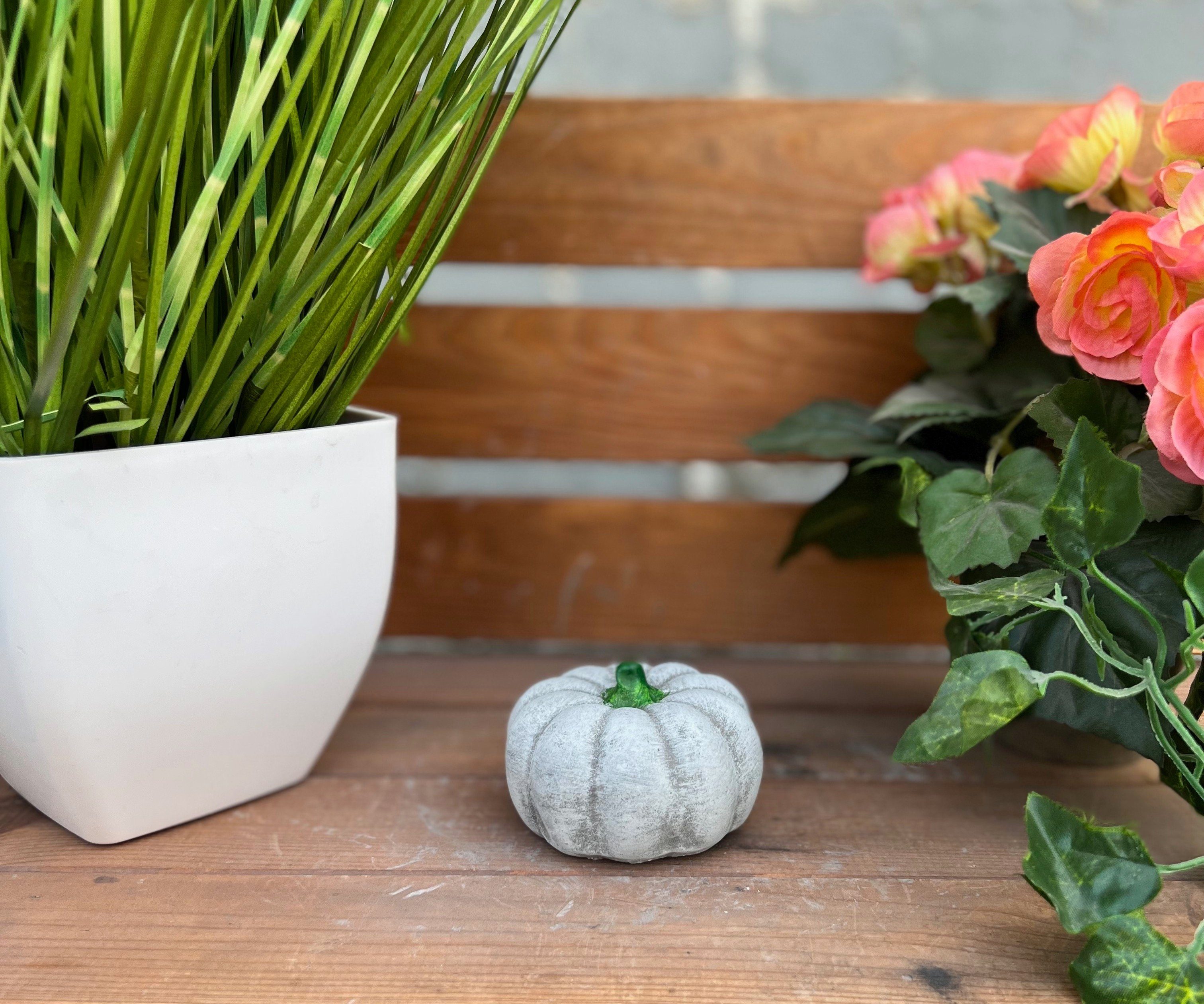 Stone and Style Gartenfigur Steinfigur Kürbis günstig online kaufen