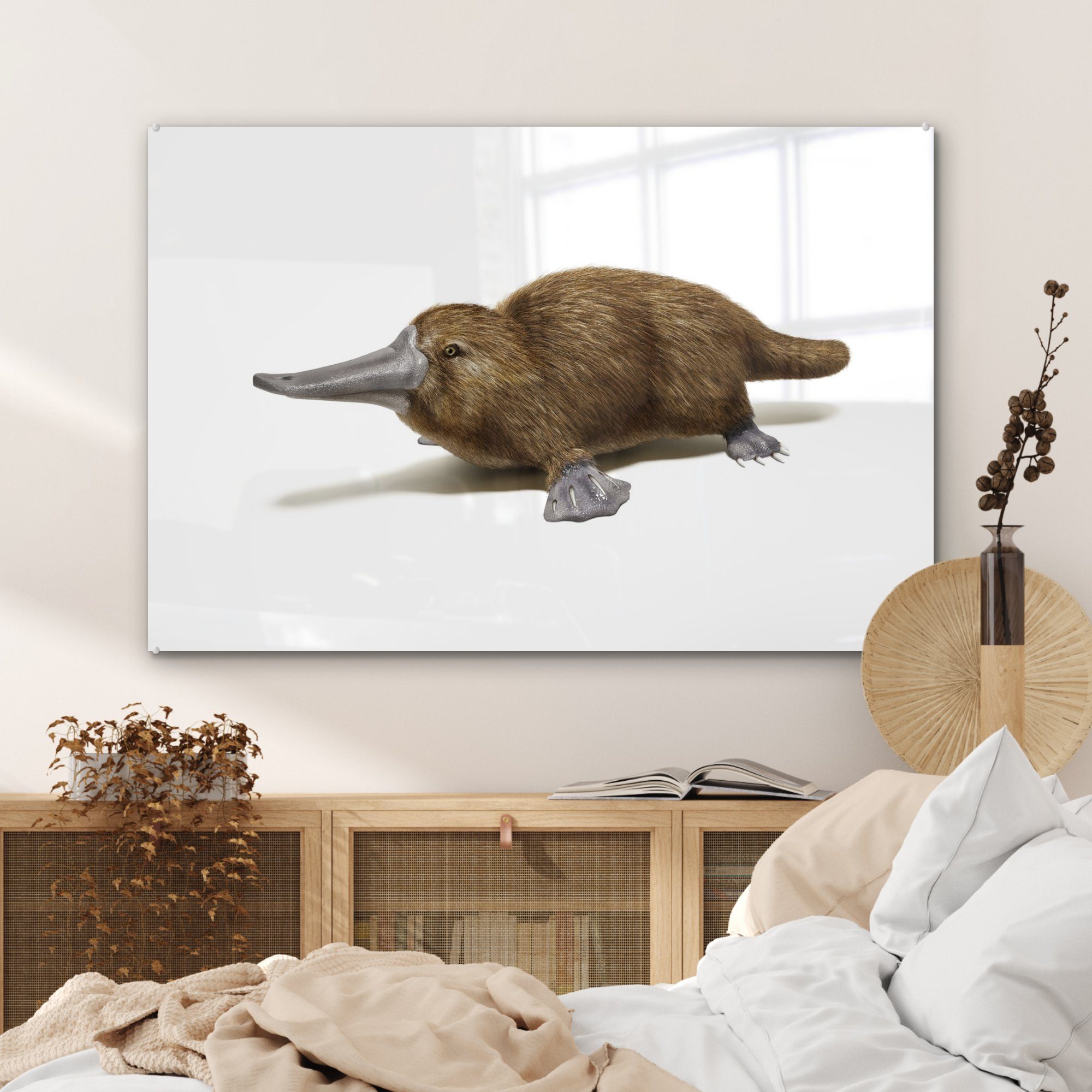 Schnabeltiers, Acrylglasbilder Illustration MuchoWow Wohnzimmer Realistische & St), jungen Schlafzimmer eines Acrylglasbild (1