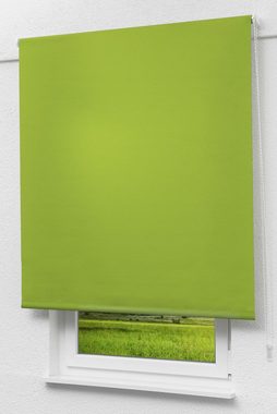 Rollo Basisrollo Tageslicht Apfelgrün, LYSEL®, blickdicht, HxB 175x102.5cm