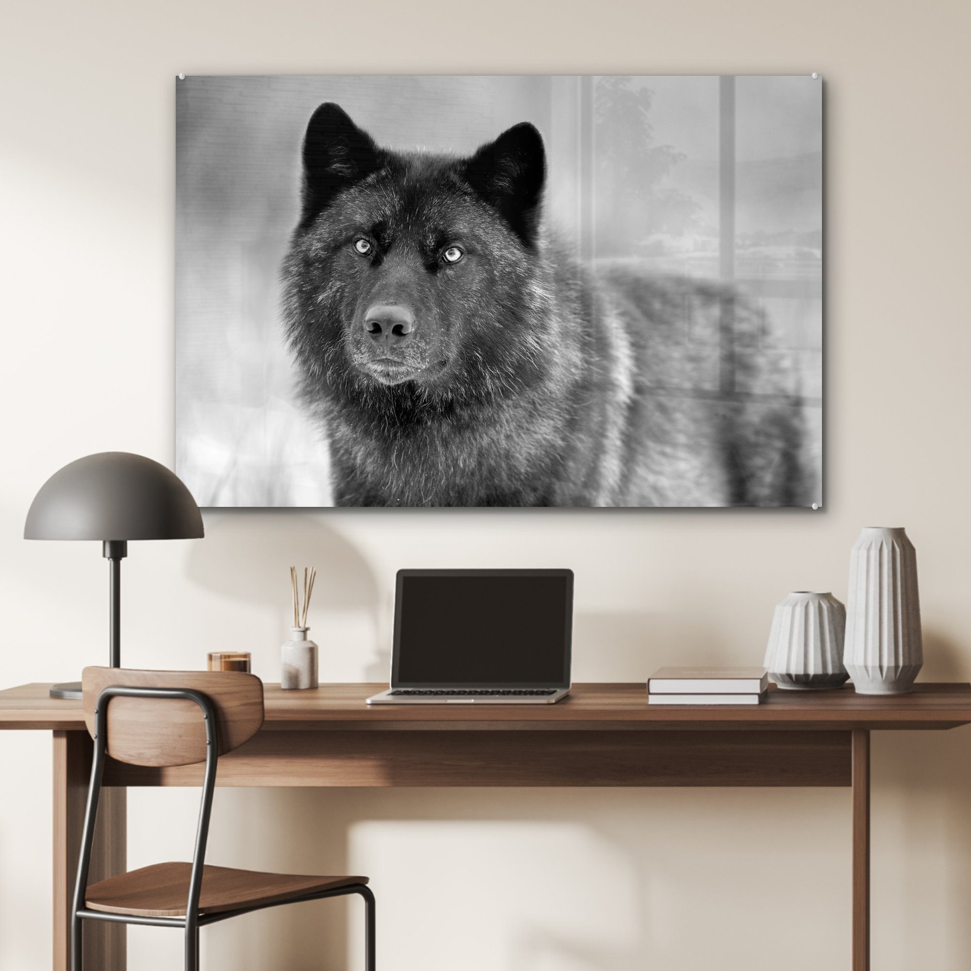 MuchoWow Acrylglasbild Schwarzer Wolf Weiß, Schlafzimmer Acrylglasbilder (1 Schwarz in & St), Wohnzimmer und