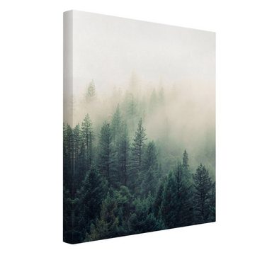 Bilderdepot24 Leinwandbild Kunstdruck Wald Nebel Erwachen creme beige Bild auf Leinwand Groß XXL, Bild auf Leinwand; Leinwanddruck in vielen Größen