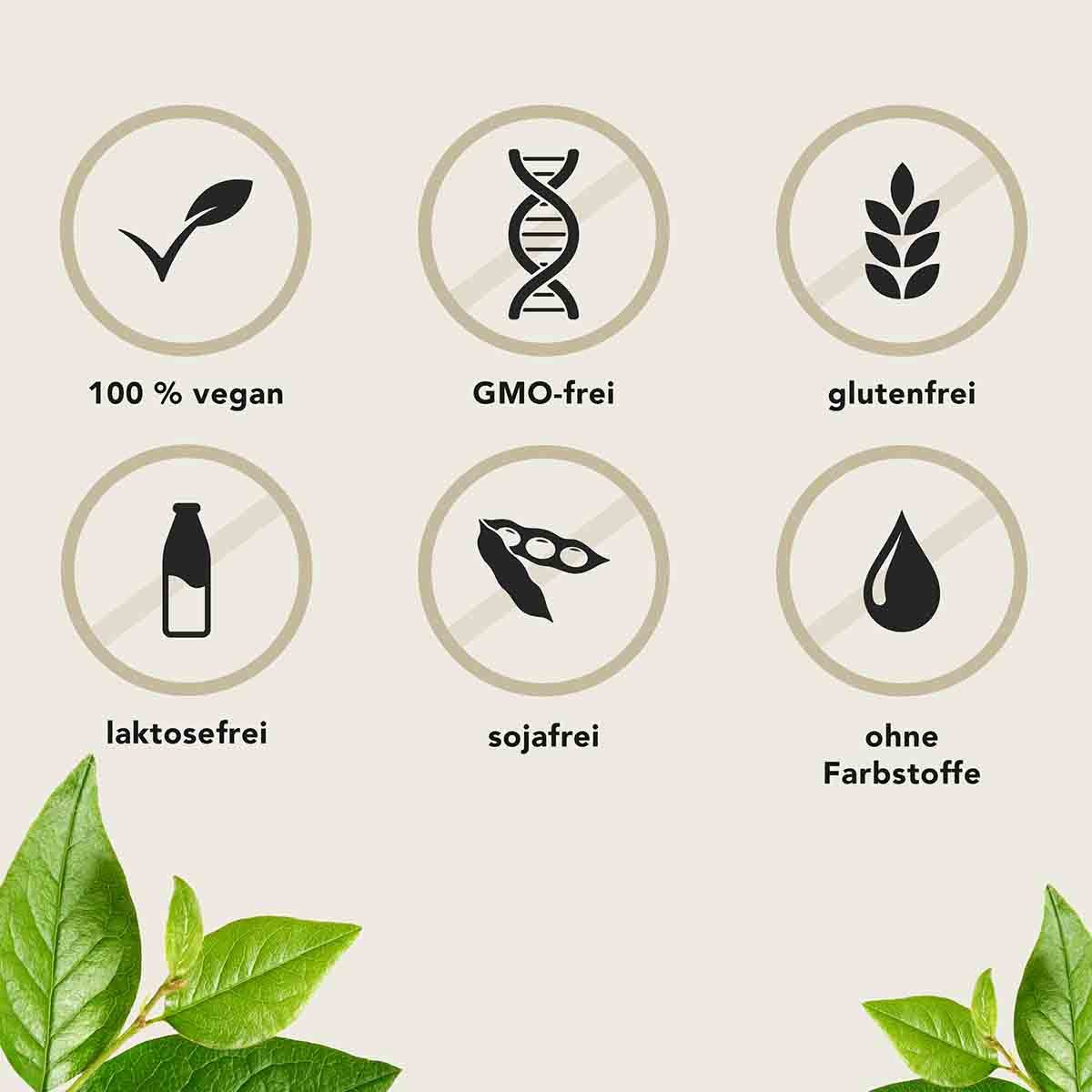 Aura Natura Fermentura Ginkgo Duo, Ginkgo Biloba Kapseln, 30 Kapseln - 30 Tage Kapseln