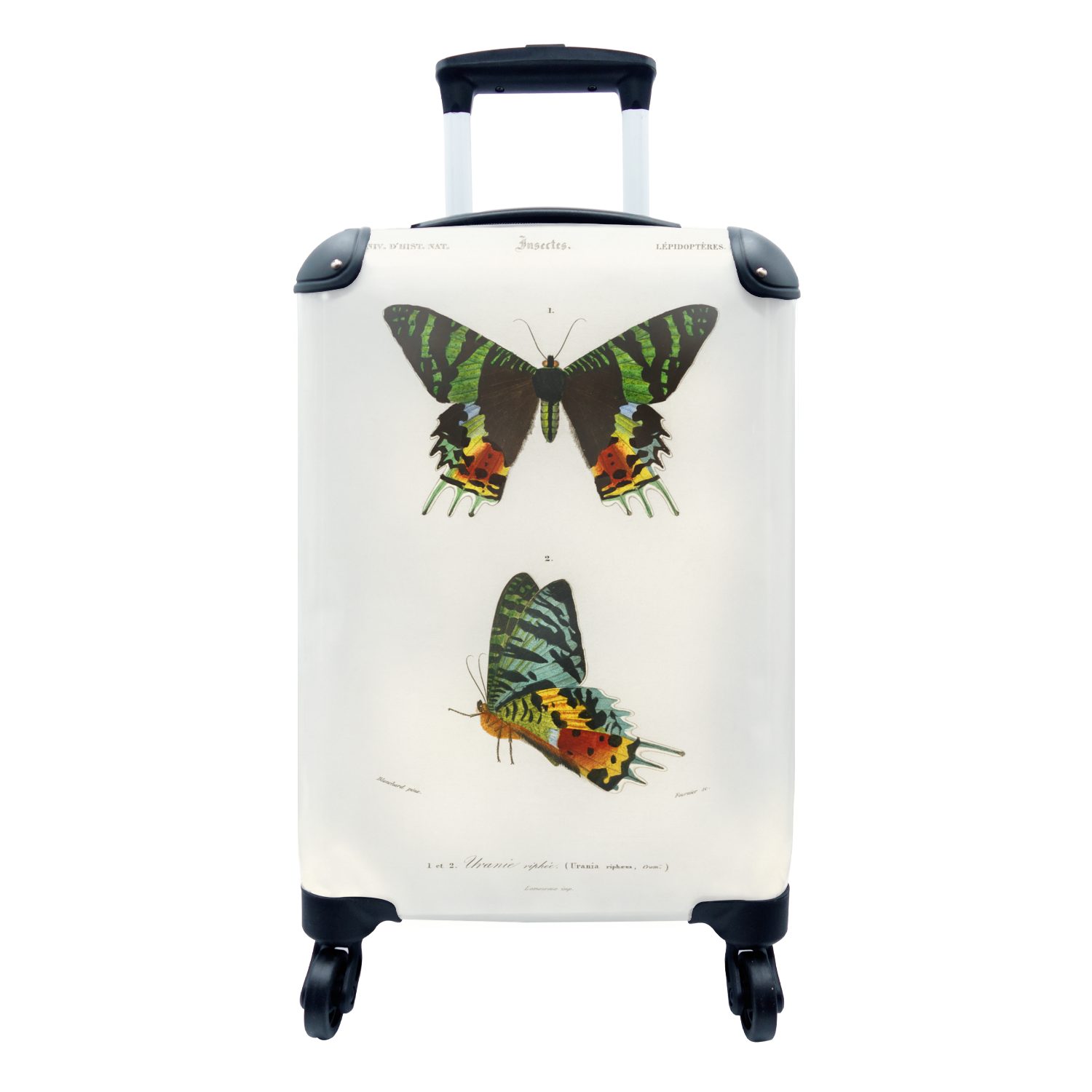 für Vintage MuchoWow 4 Insekten, Schmetterling - Handgepäck Reisekoffer Rollen, Trolley, Handgepäckkoffer mit rollen, - Reisetasche Ferien,