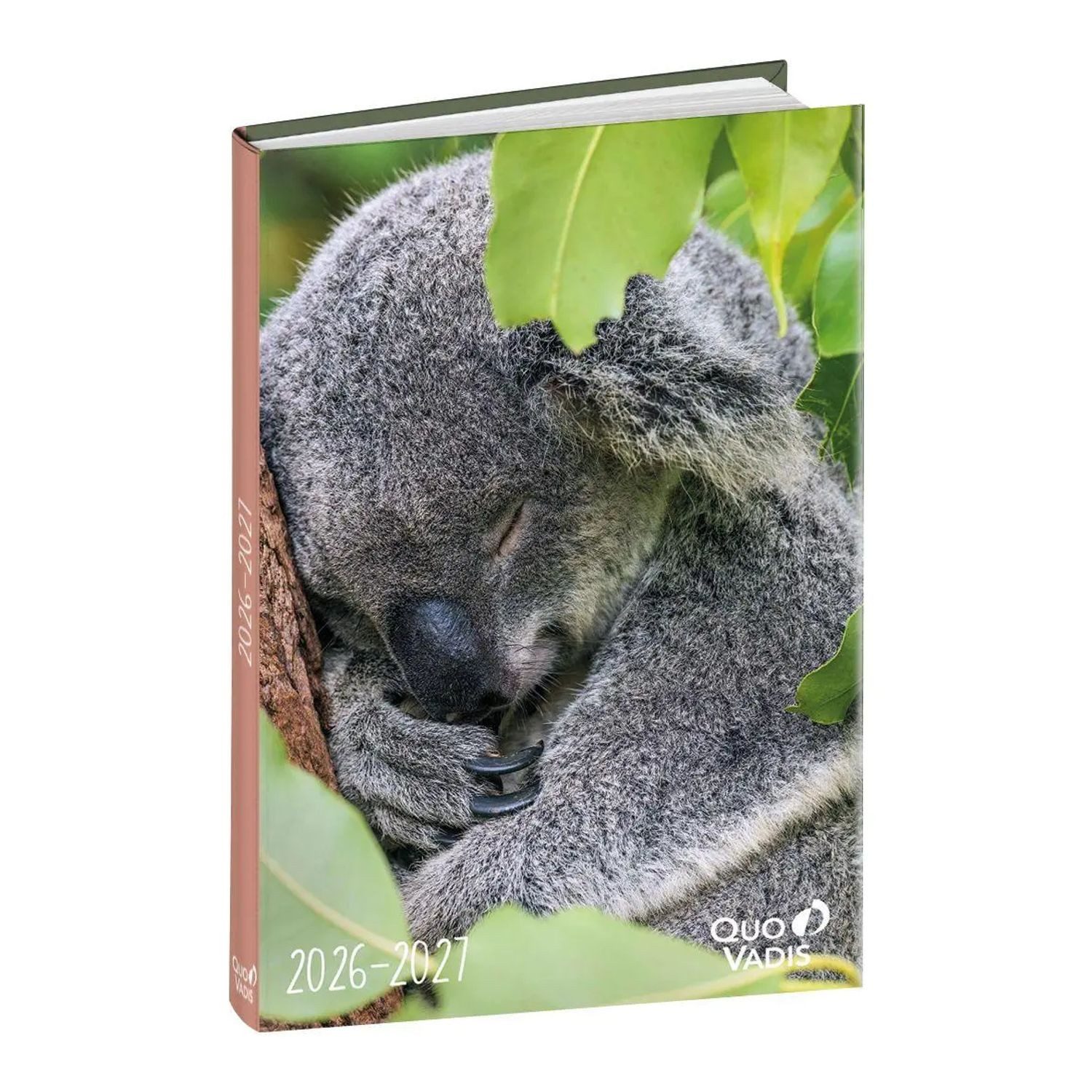 Quo Vadis Schülerkalender Schülerkalender Forum Tiere Koala 2026 / 2027