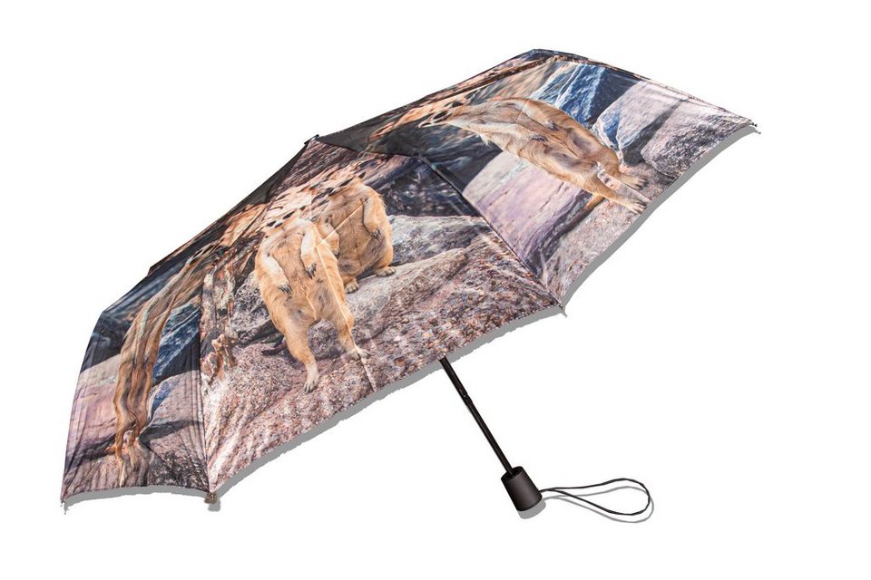 Cornelißen Taschenregenschirm Regenschirm Erdmännchen