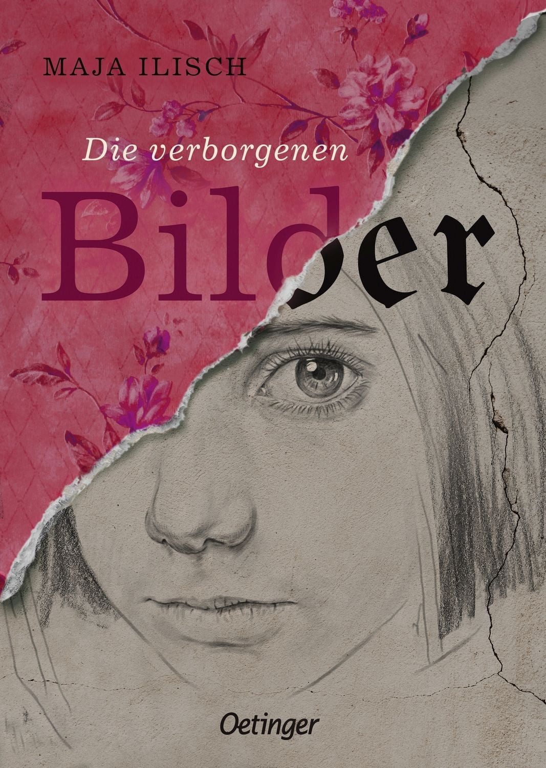 Kinderbuch Die verborgenen Bilder Maja Ilisch