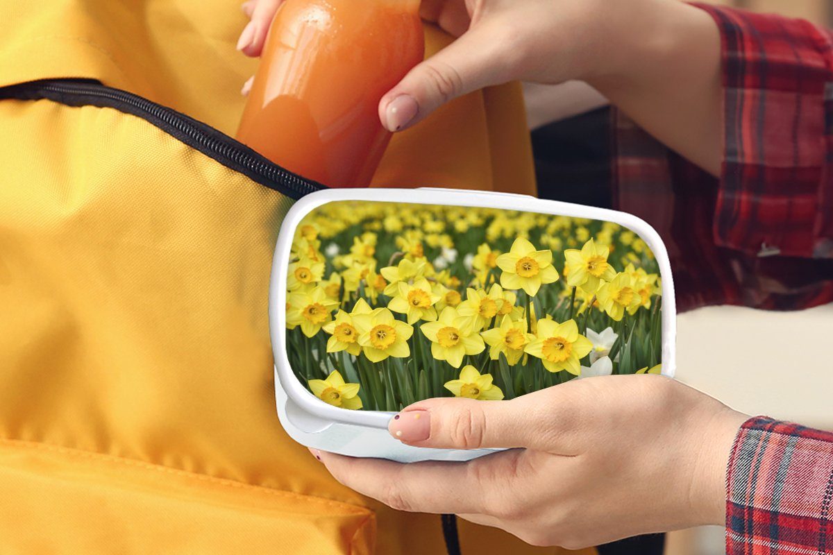 Brotbox Kinder für Erwachsene, und - Gelb weiß - Blumen MuchoWow für und Kunststoff, (2-tlg), Brotdose, Lunchbox Narzissen, Jungs Mädchen