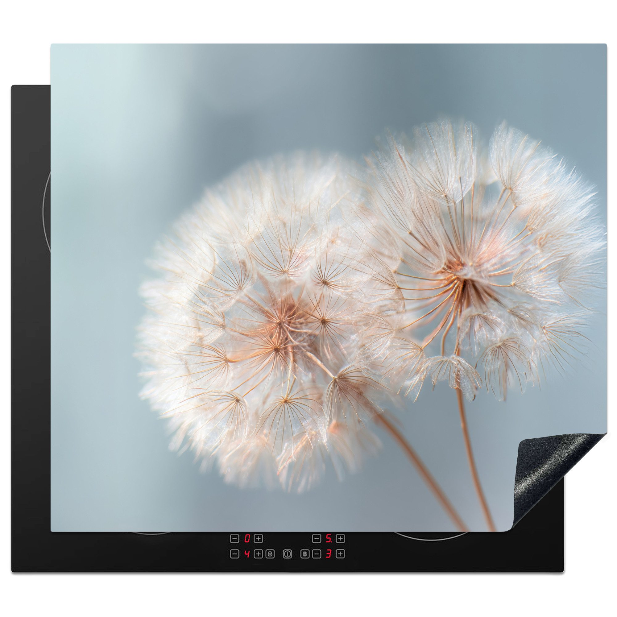 MuchoWow Herd-Abdeckplatte Pusteblumen - Flauschig - Weiß, Vinyl, (1 tlg), Ceranfeldabdeckung Küche, Herdabdeckplatte Einteilig, 60x52 cm