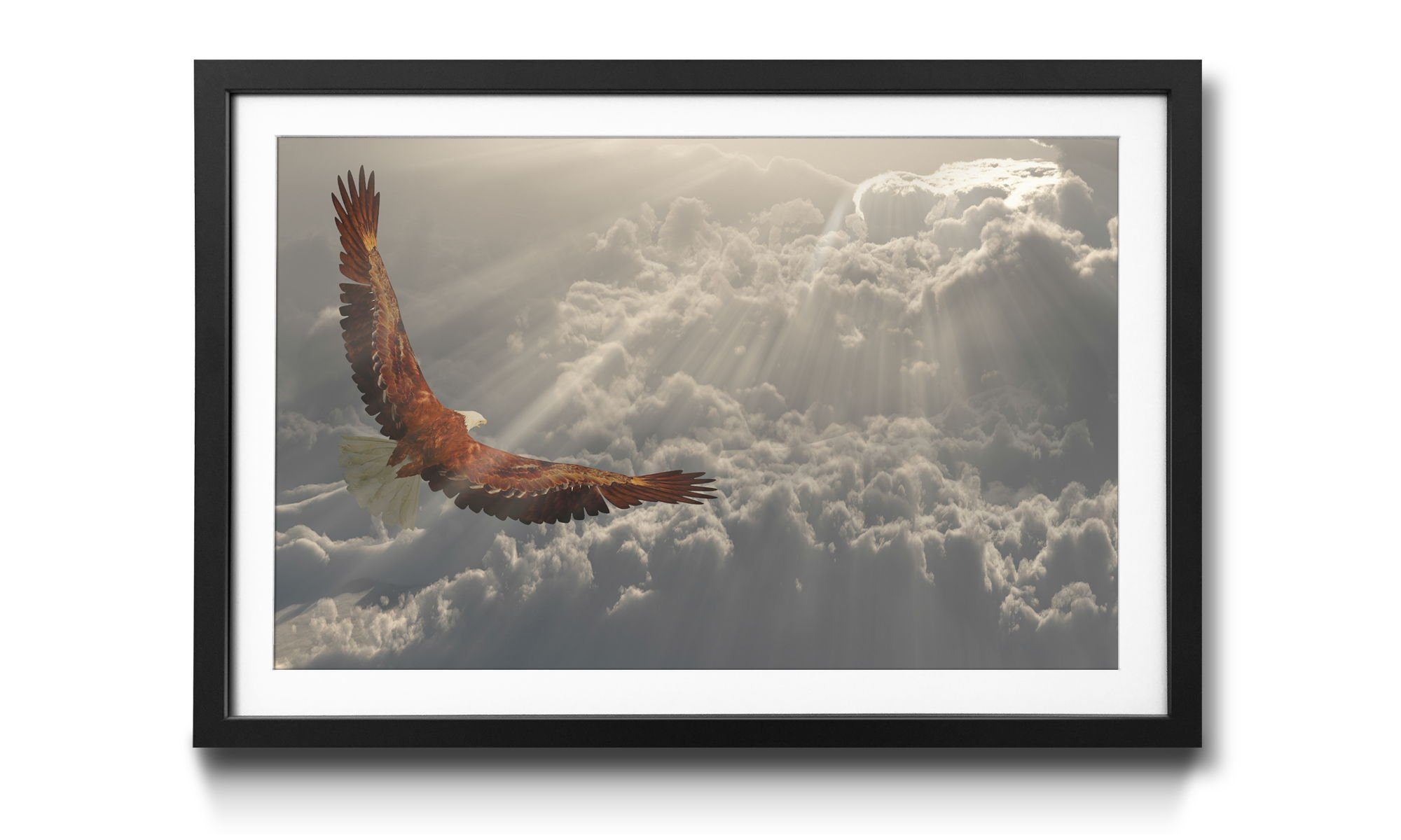WandbilderXXL Bild mit Rahmen Eagle In Flight, Adler, Wandbild, in 4 Größen erhältlich