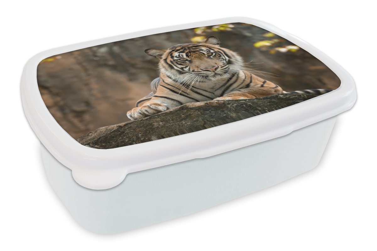 MuchoWow Lunchbox Tiger - Felsen - Blätter, Kunststoff, (2-tlg), Brotbox für Kinder und Erwachsene, Brotdose, für Jungs und Mädchen weiß