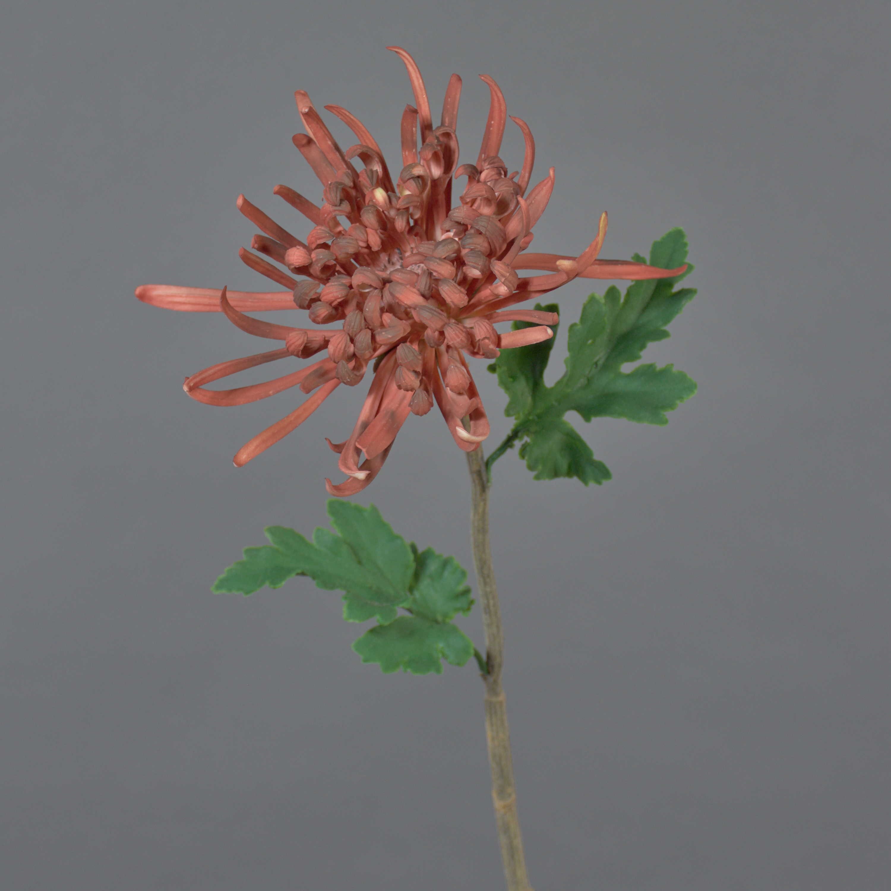 Kunstblume Dekoblume Chrysantheme YASULI, Burgunderrot, 70 cm Chrysantheme, artplants, Höhe 70.0 cm
