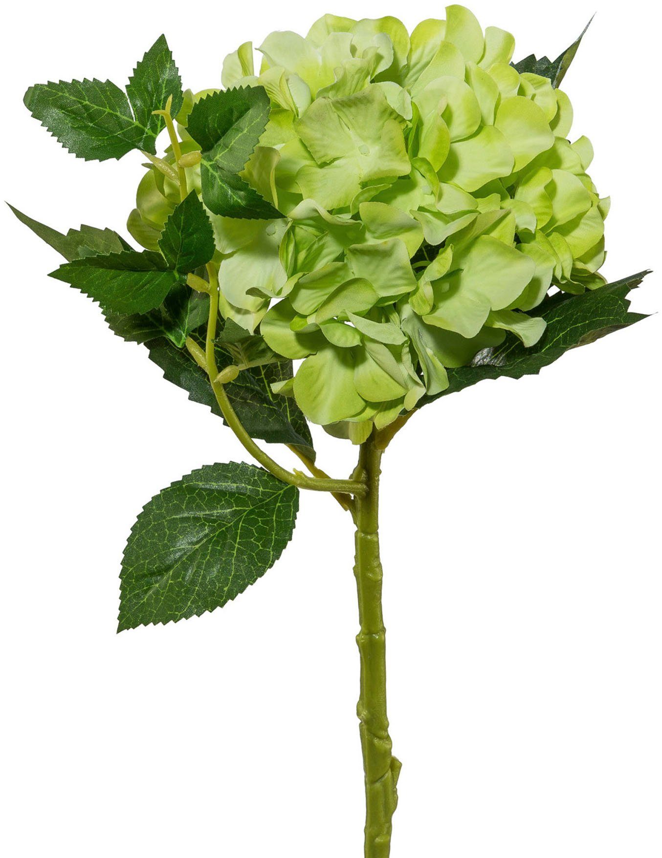Kunstblume Hortensie Hortensie, Creativ green, Höhe günstig online kaufen