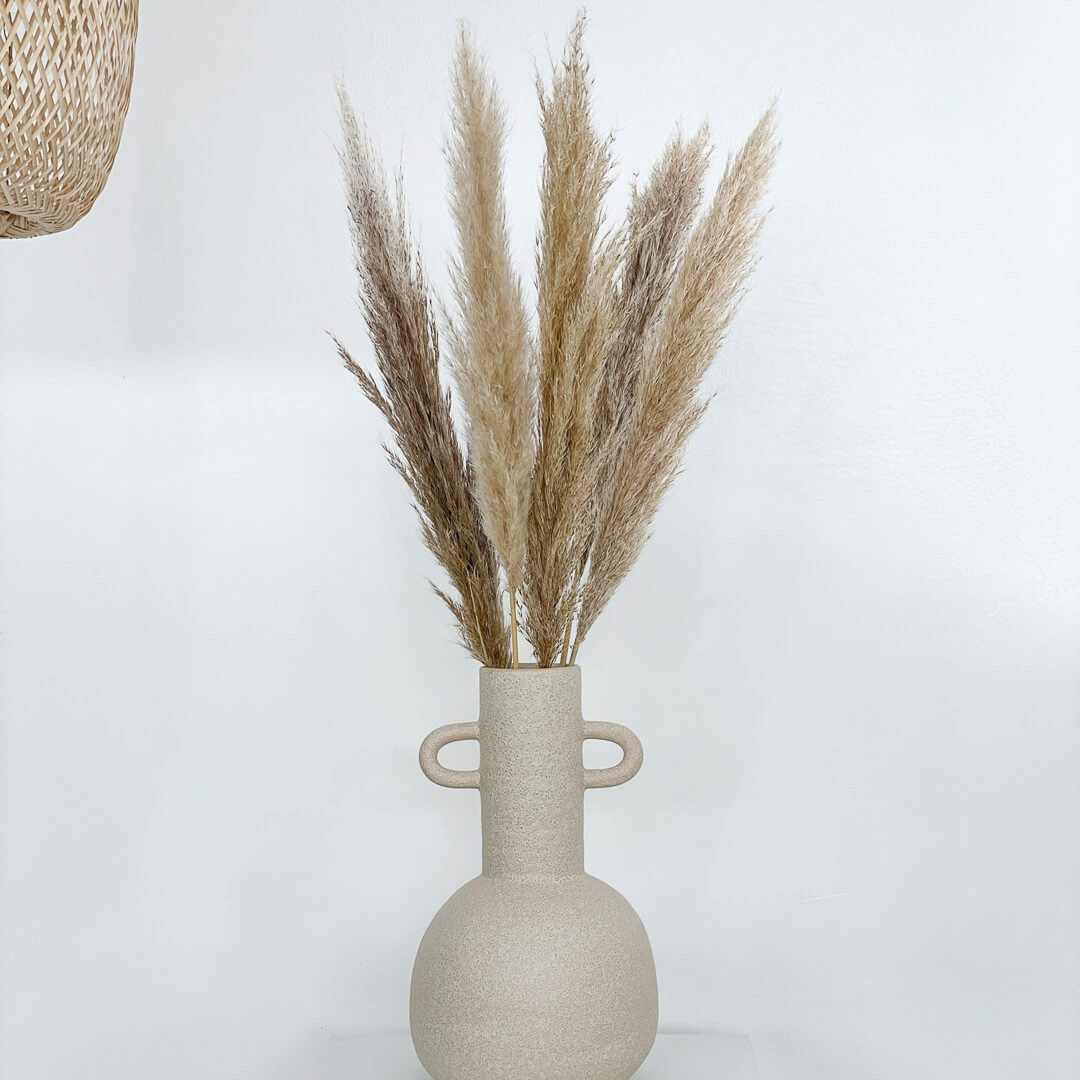Trockenblume Pampasgras beige natur, für Tischvase