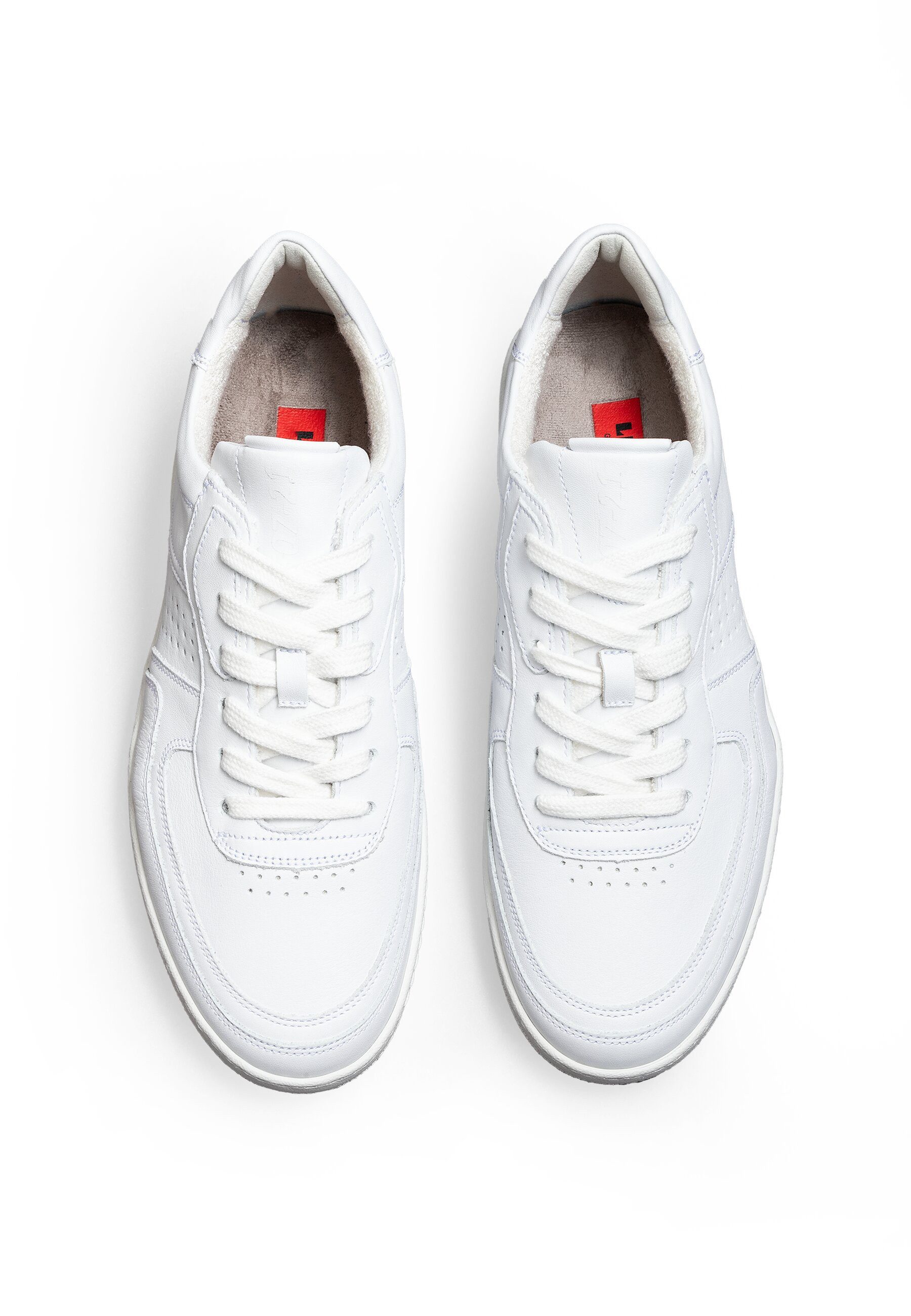 Lloyd AREL Sneaker