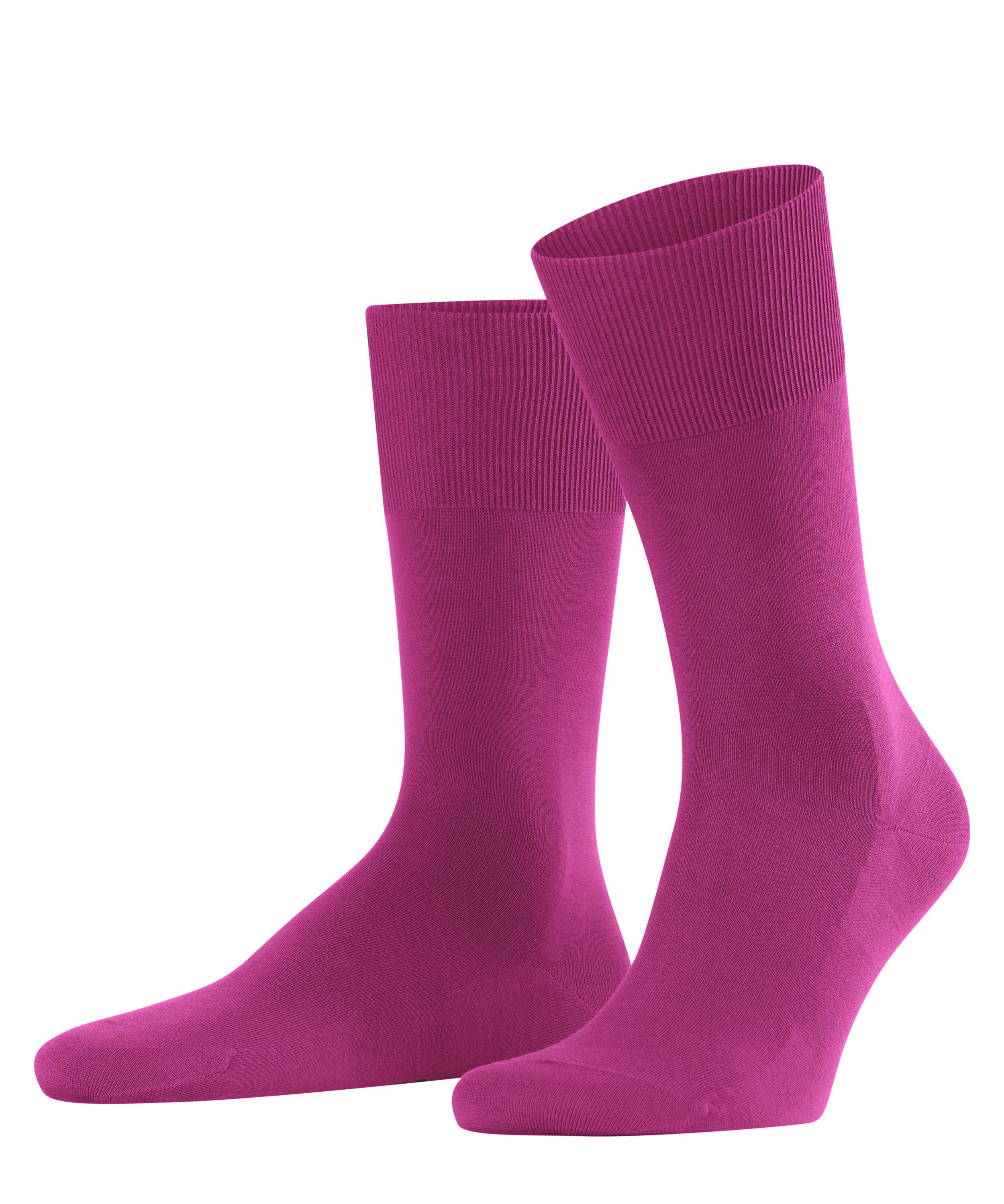 FALKE Socken ClimaWool (1-Paar) berry (8390) | Socken