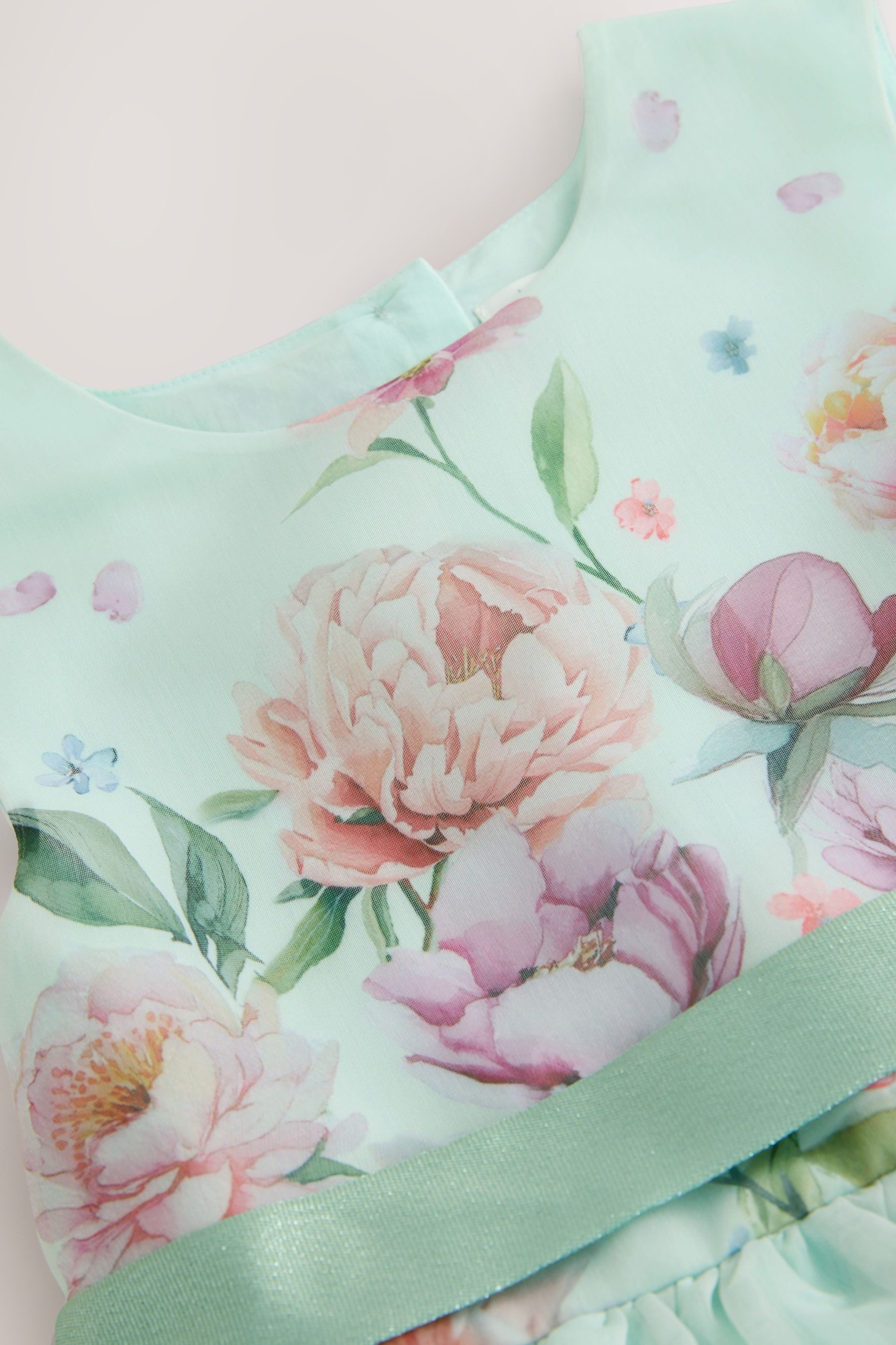 Next Tüllkleid Festliches Kleid mit floralem Muster (1-tlg)
