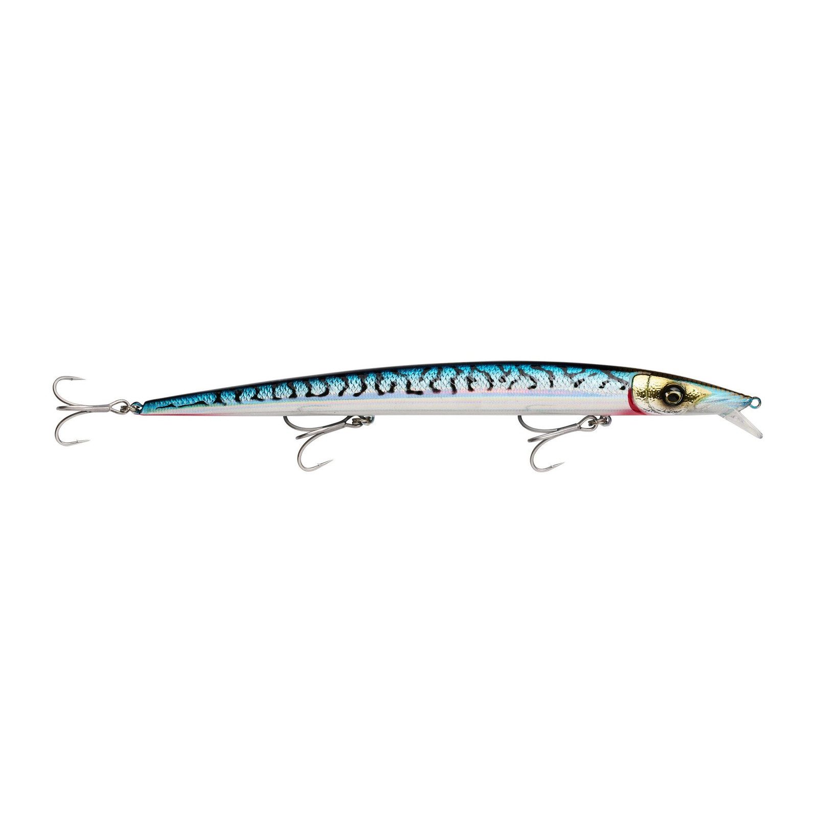 Blue Mackerel