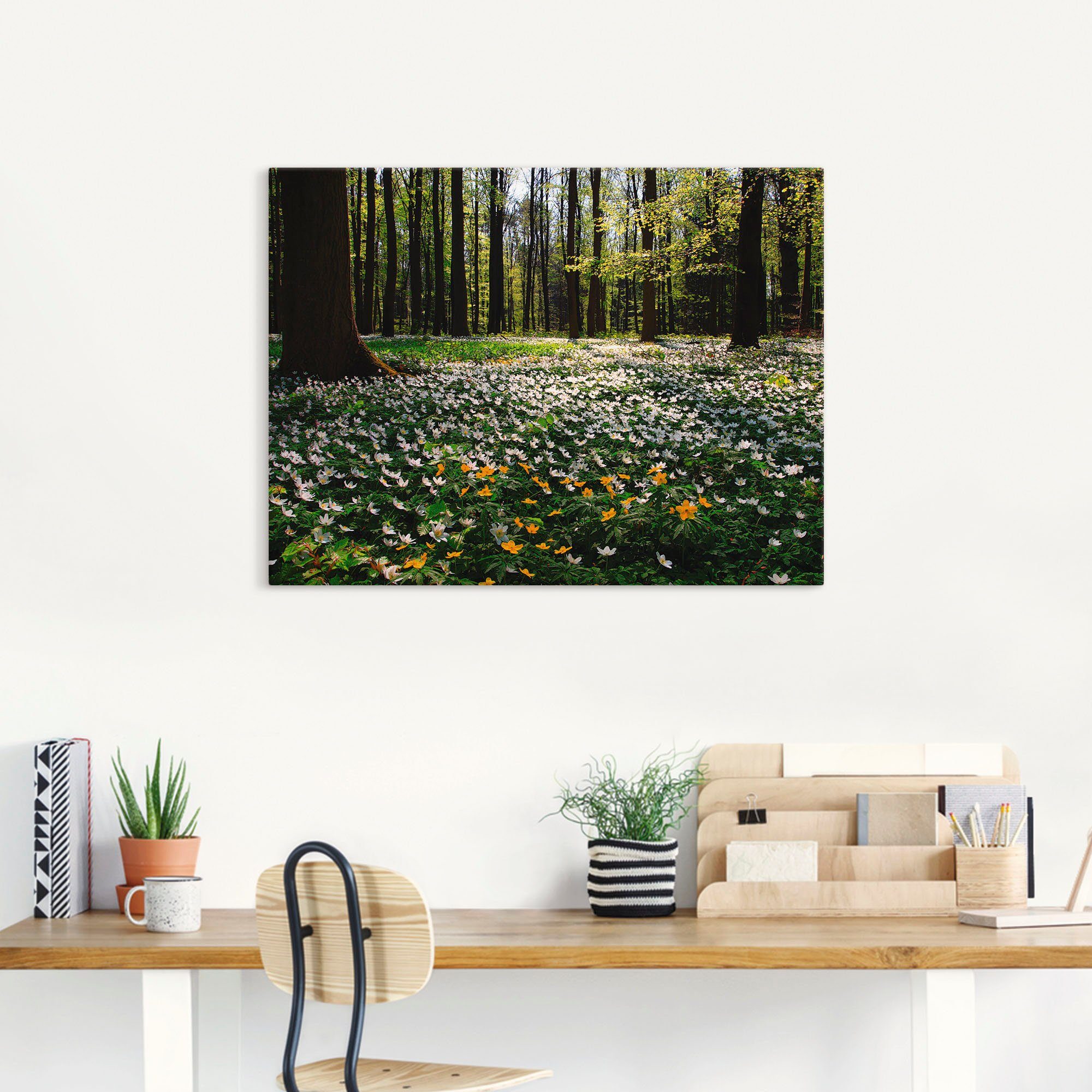 Artland Wandbild Frühlingswald bedeckt mit Windröschen, Wald (1 St), als Leinwandbild, Poster in verschied. Größen
