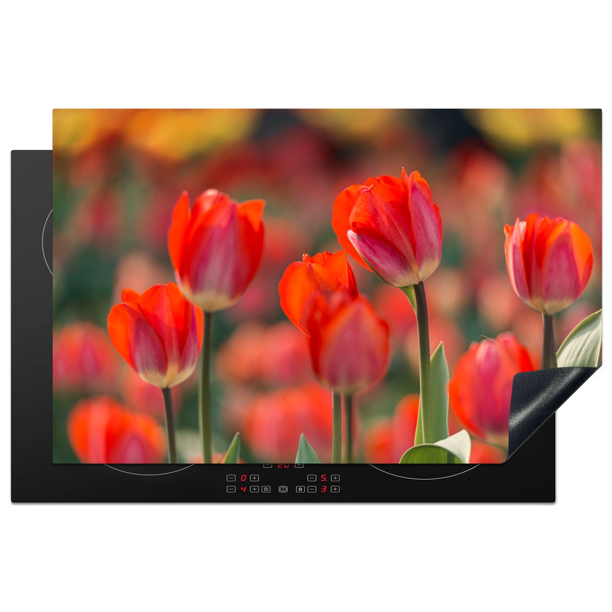 MuchoWow Herdblende-/Abdeckplatte Eine Nahaufnahme von roten Tulpen, Vinyl, (1 tlg), 81x52 cm, Induktionskochfeld Schutz für die küche, Ceranfeldabdeckung