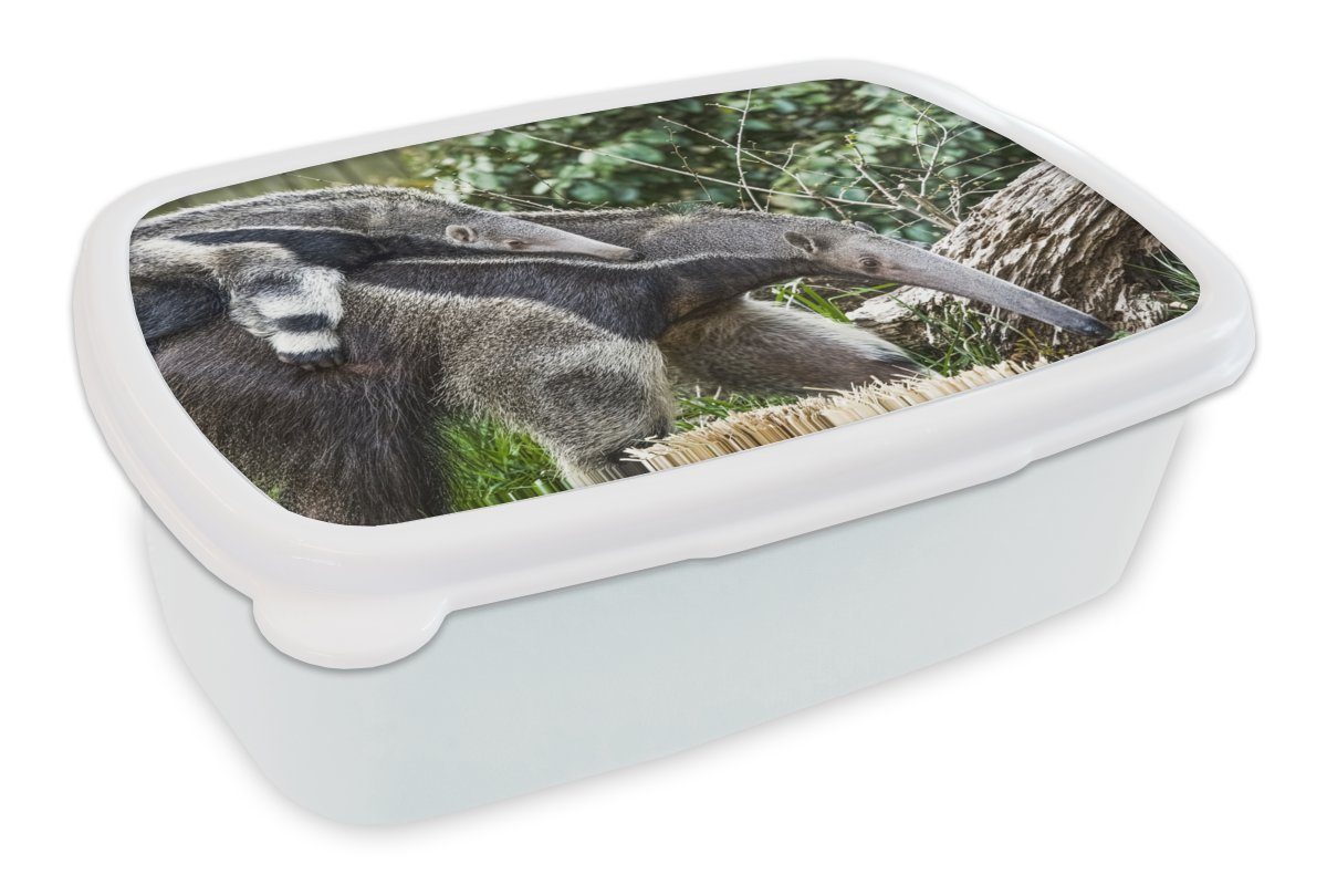 MuchoWow Lunchbox Ameisenbär - Pflanze Brotdose, und Tier, Kunststoff, (2-tlg), Mädchen für Erwachsene, für Kinder und Brotbox Jungs weiß 