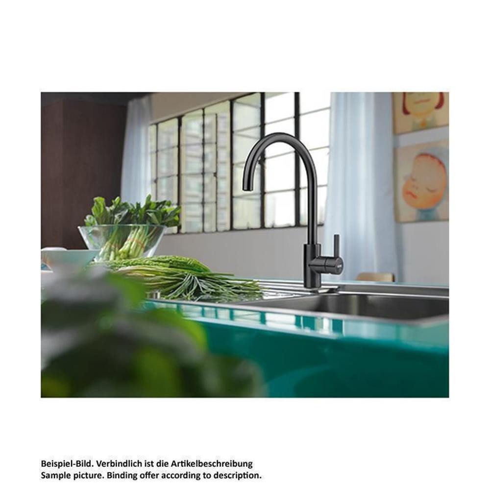 FRANKE Küchenarmatur Eos Neo Festauslauf Oberfläche Industrial Black