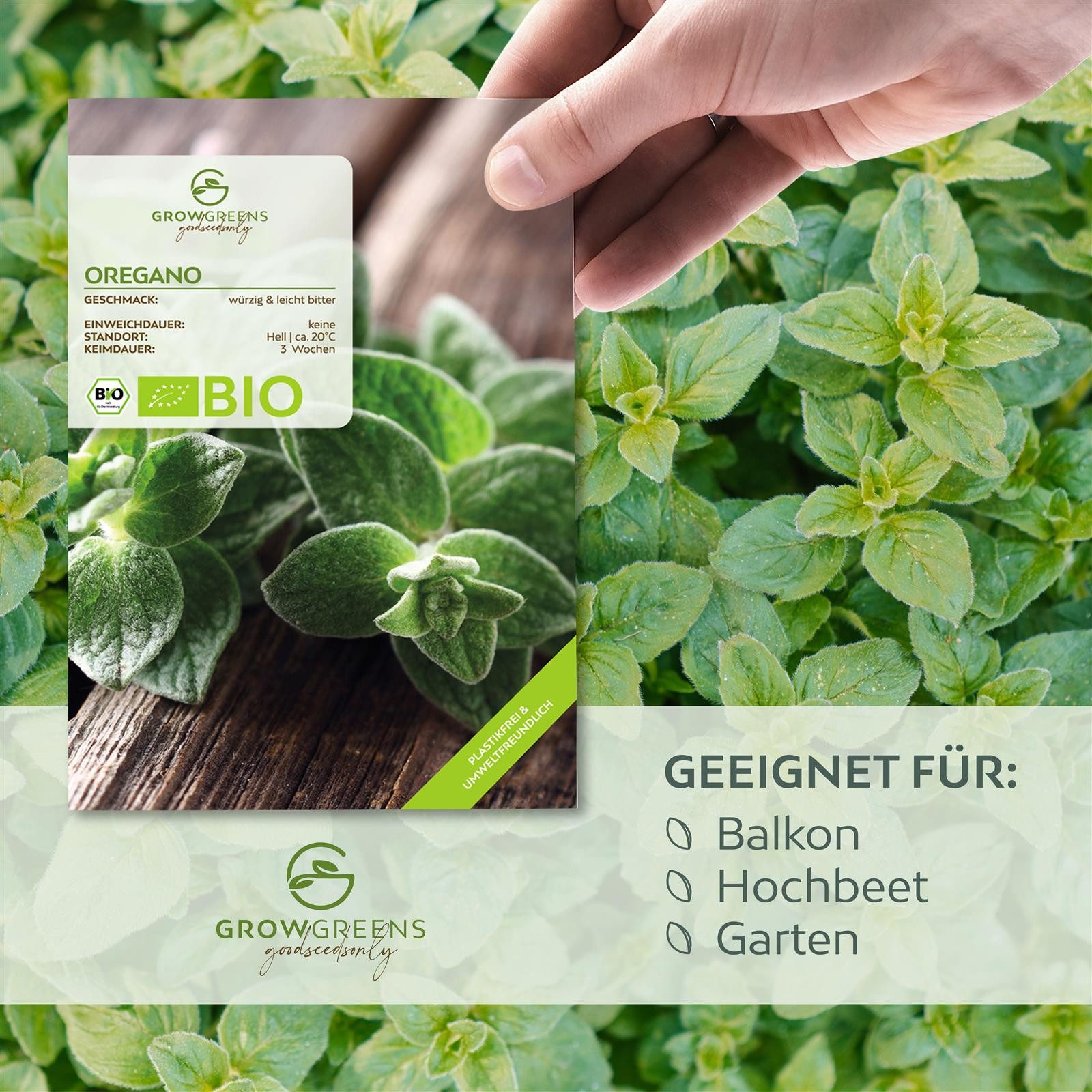 Growgreens Kräutersamen BIO Oregano Samen - günstig online kaufen