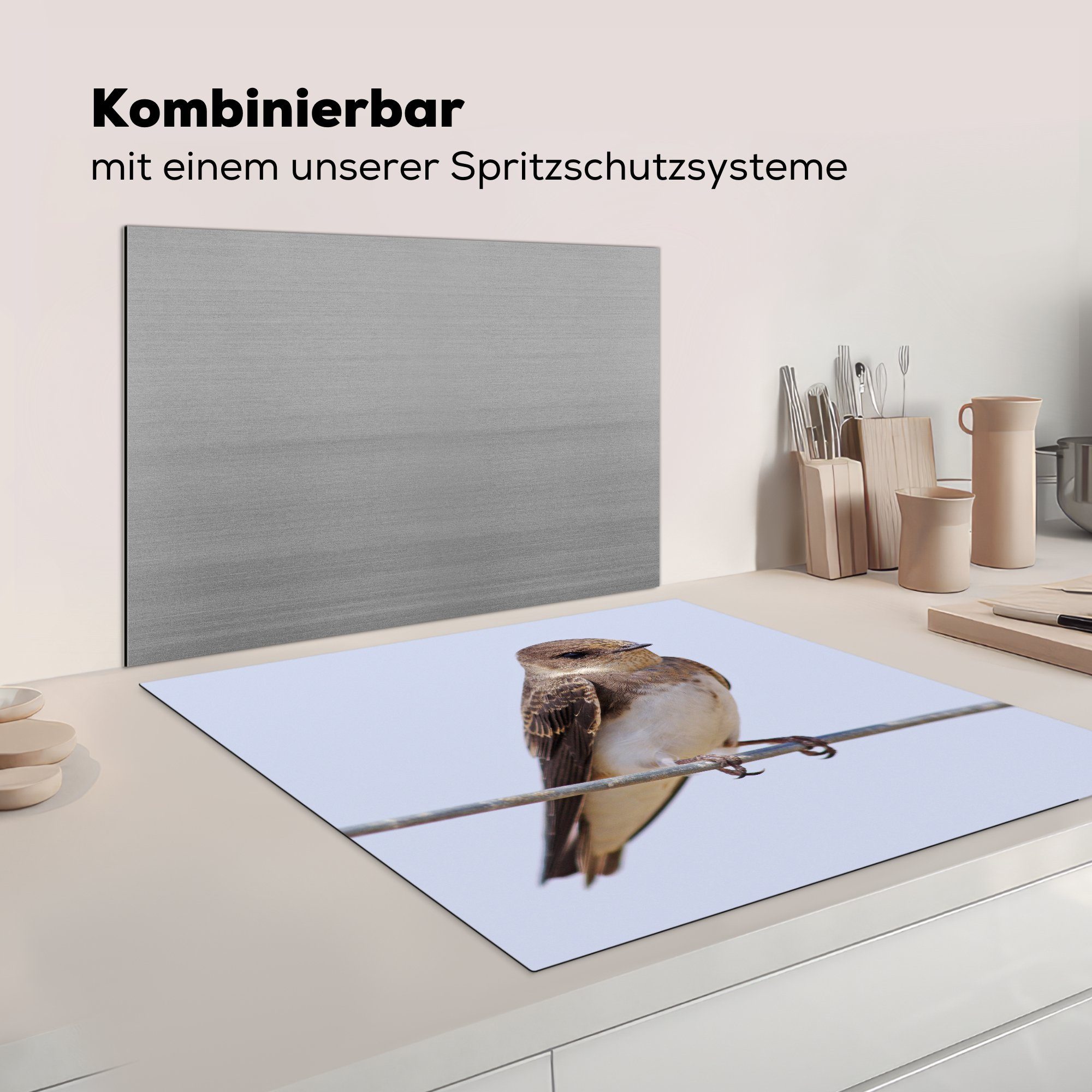 Seitenansicht Uferschwalbe, Ceranfeldabdeckung, küche einer 78x78 (1 für cm, Herdblende-/Abdeckplatte Arbeitsplatte tlg), MuchoWow Vinyl,