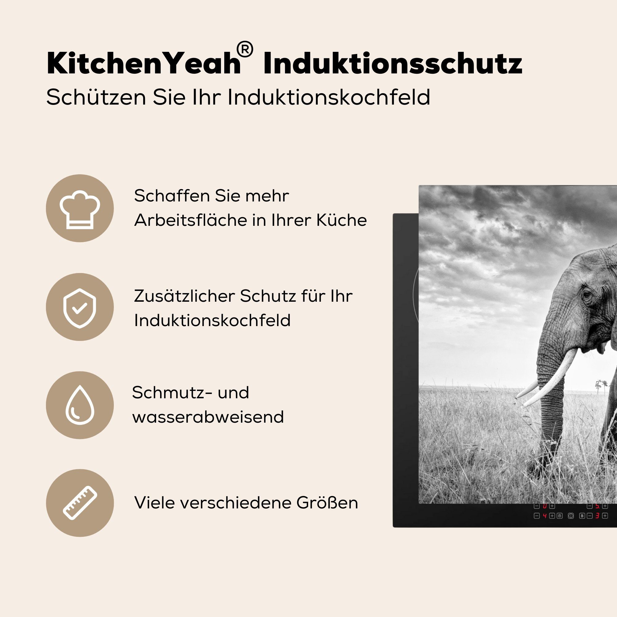 Tiere MuchoWow Induktionskochfeld - Vinyl, 81x52 Ceranfeldabdeckung - Schwarz die Herdblende-/Abdeckplatte und Elefant Gras (1 Schutz - küche, cm, für weiß, tlg),