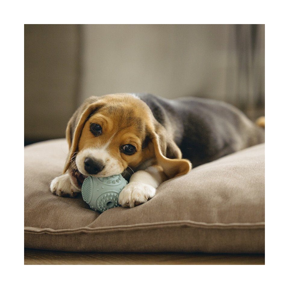 Beeztees Tierball Hundespielzeug Puppy Dental Ball mint