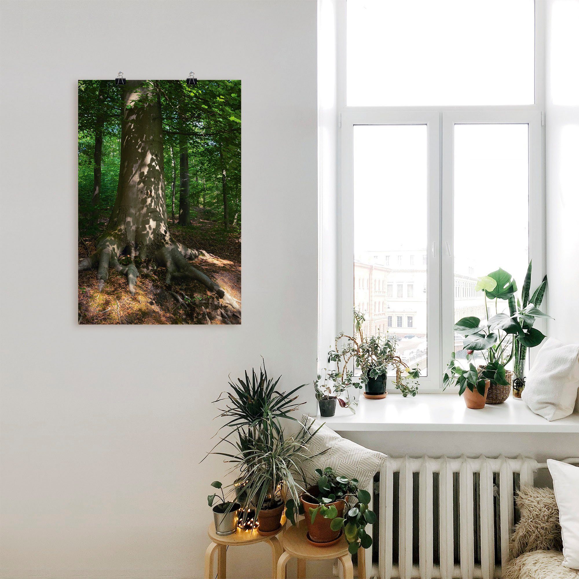 Wandbild in als Leinwandbild, Poster Alubild, oder St), versch. Artland Größen Wandaufkleber (1 Baumbilder Waldimpression,