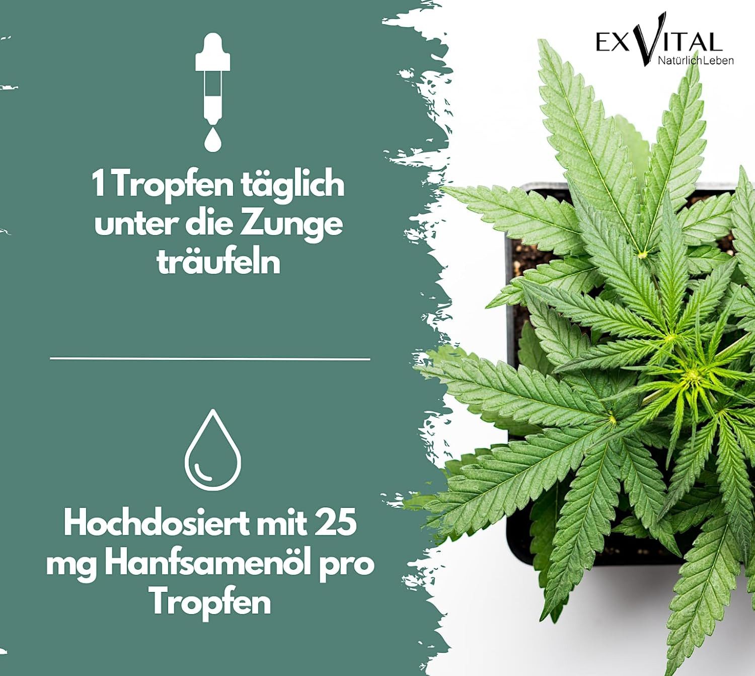 Hanfsamenöl 25mg mit Omega 3-6-9 Fettsäuren, kaltgepresst, 750 Tropfen Tropfen, 30 ml