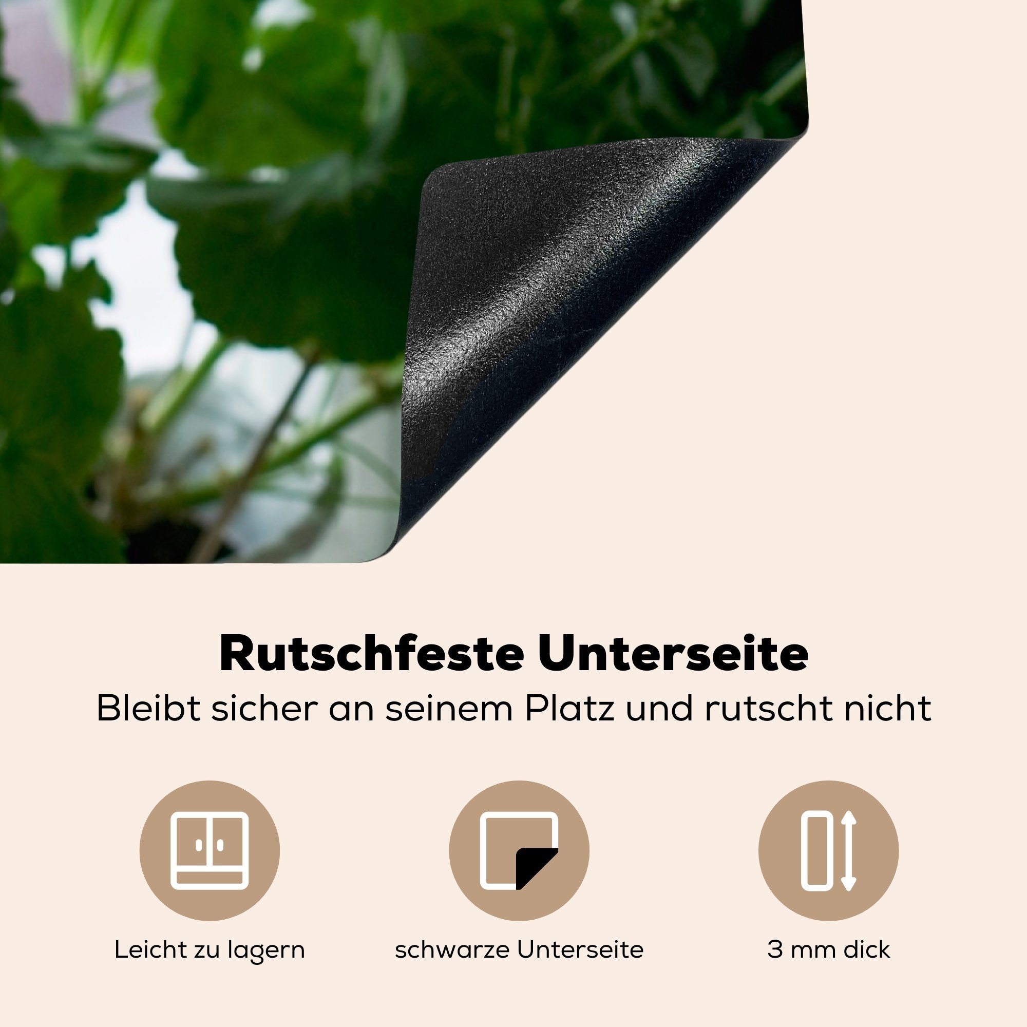 Arbeitsplatte 78x78 (1 tlg), Ceranfeldabdeckung, für Herdblende-/Abdeckplatte MuchoWow Vinyl, küche der cm, auf Geranienstrauß Fensterbank,