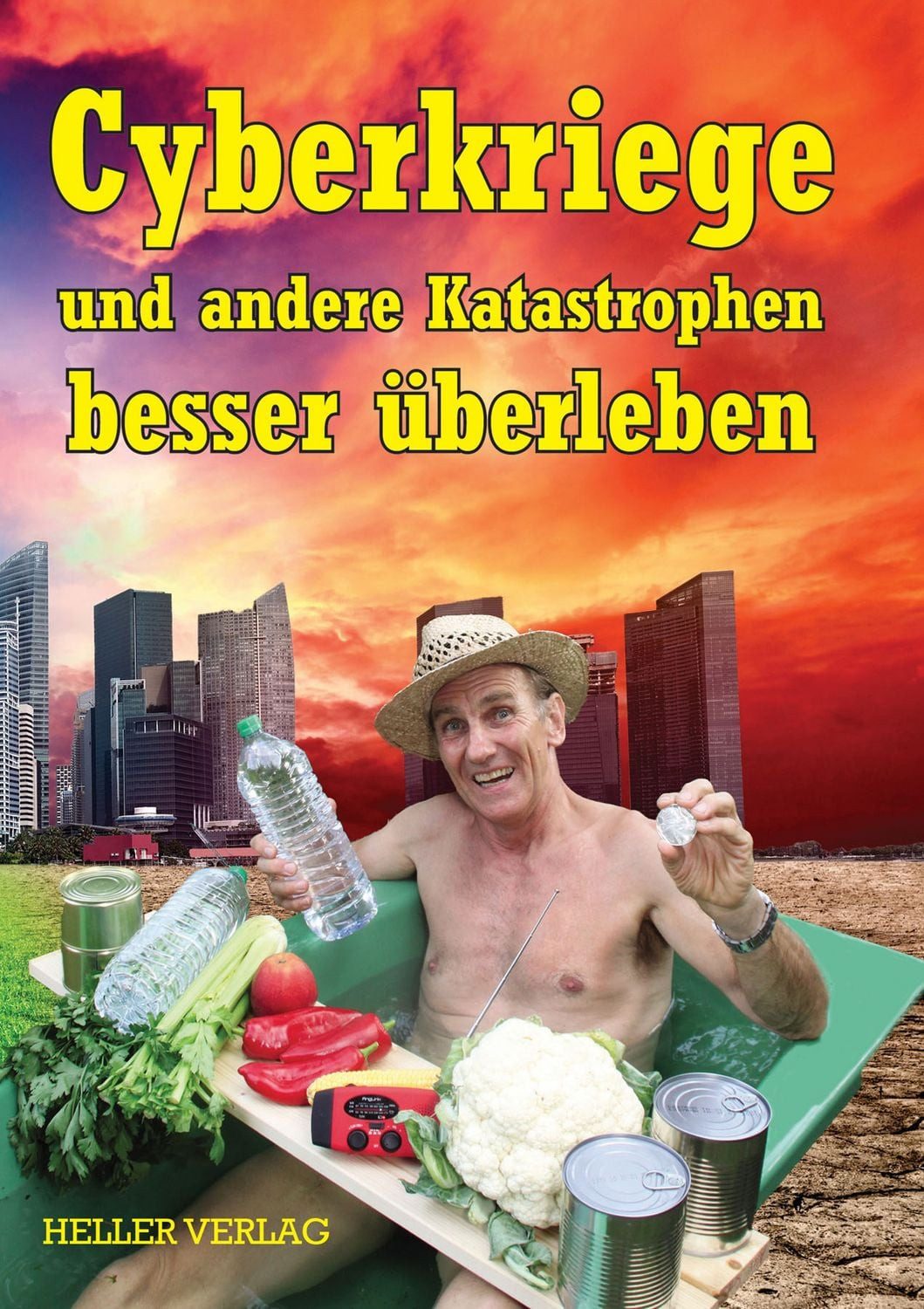 Cyberkriege und andere Katastrophen besser überleben / Klaus Heller