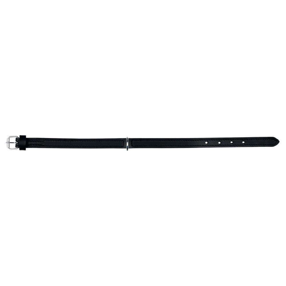Hunde-Halsband Halsband Active schwarz