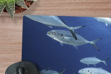 MuchoWow Gaming Mauspad Hammerhai schwimmt zwischen den Fischen (1-St), Büro für Tastatur und Maus, Mousepad Gaming, 90x60 cm, XXL, Großes