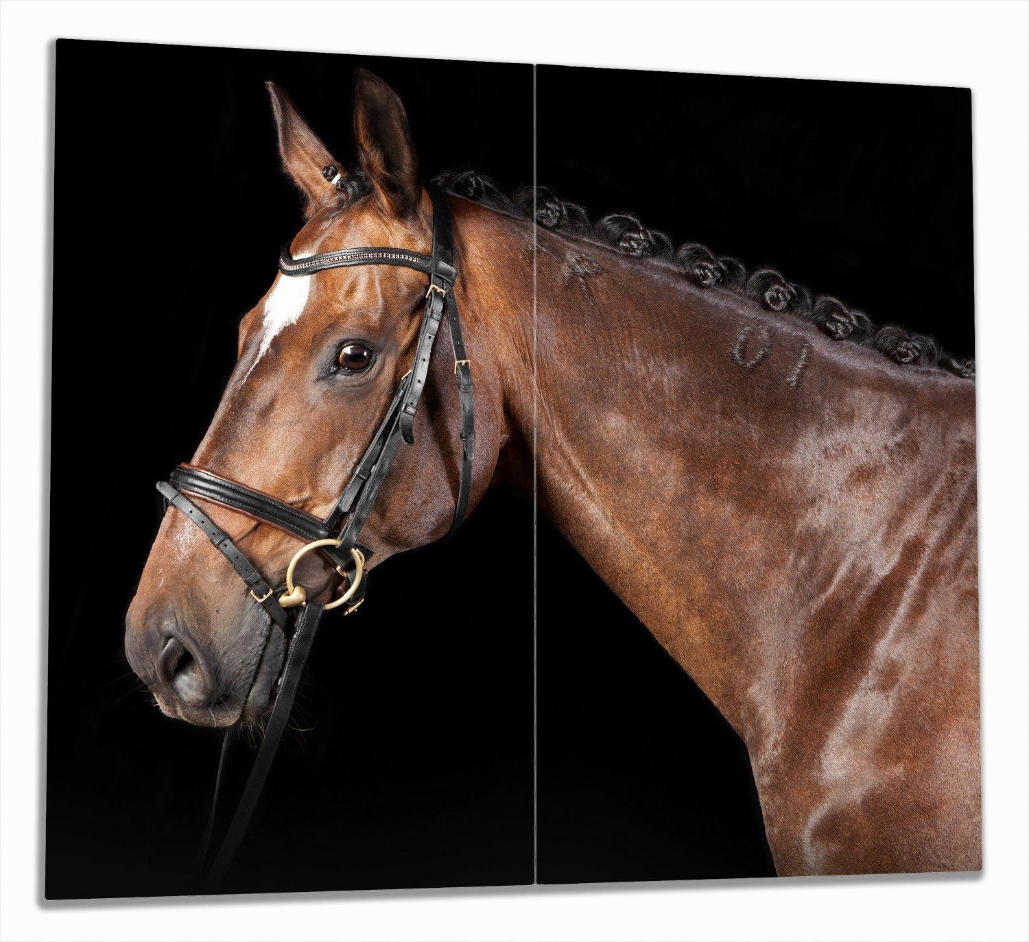 Wallario Herd-Abdeckplatte Herausgeputztes Pferd mit Geschirr, ESG-Sicherheitsglas, (Glasplatte, 2 tlg., inkl. 5mm Noppen), verschiedene Größen