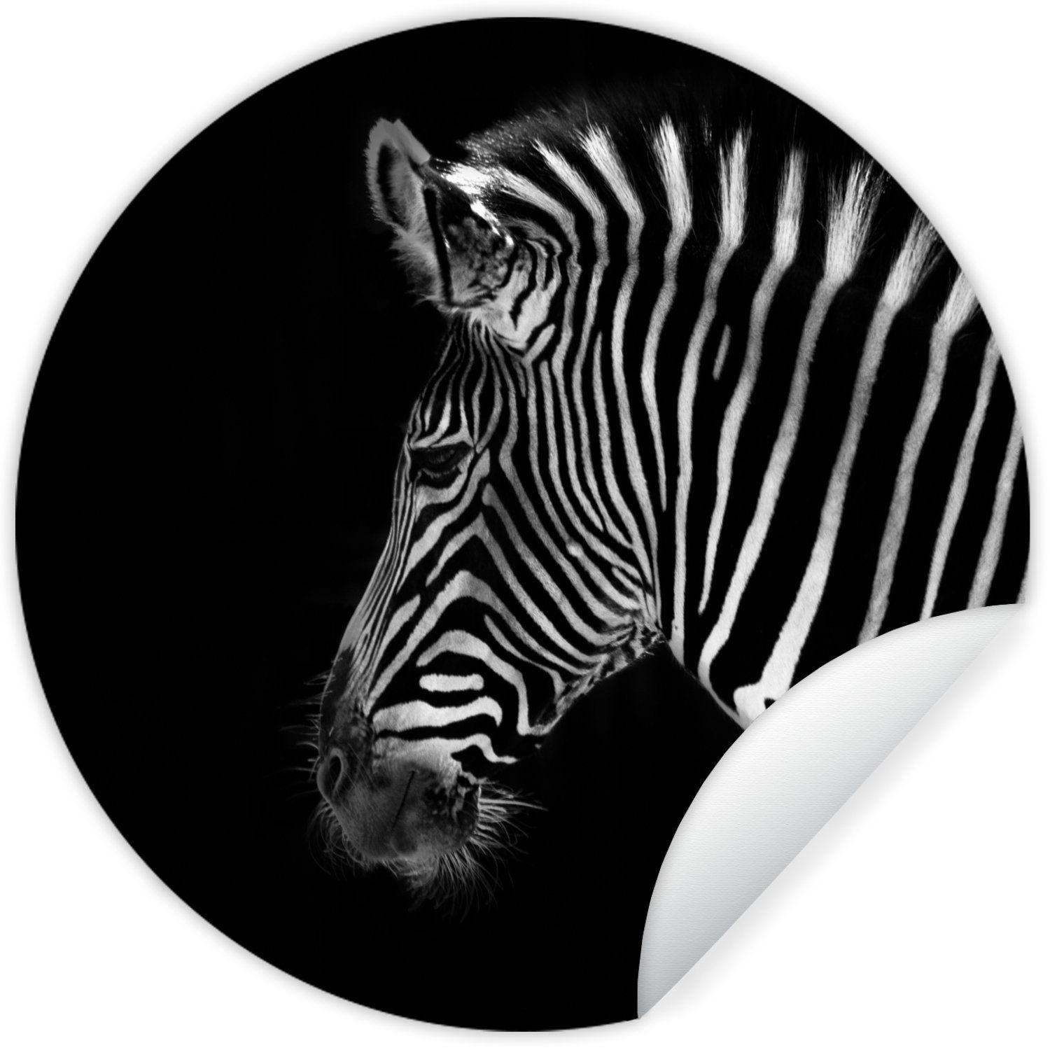 Wilde Schwarz Zebra für Kinderzimmer, MuchoWow St), Tiere Tapetenkreis Wohnzimmer Rund, Wandsticker Tapetenaufkleber, - (1 -