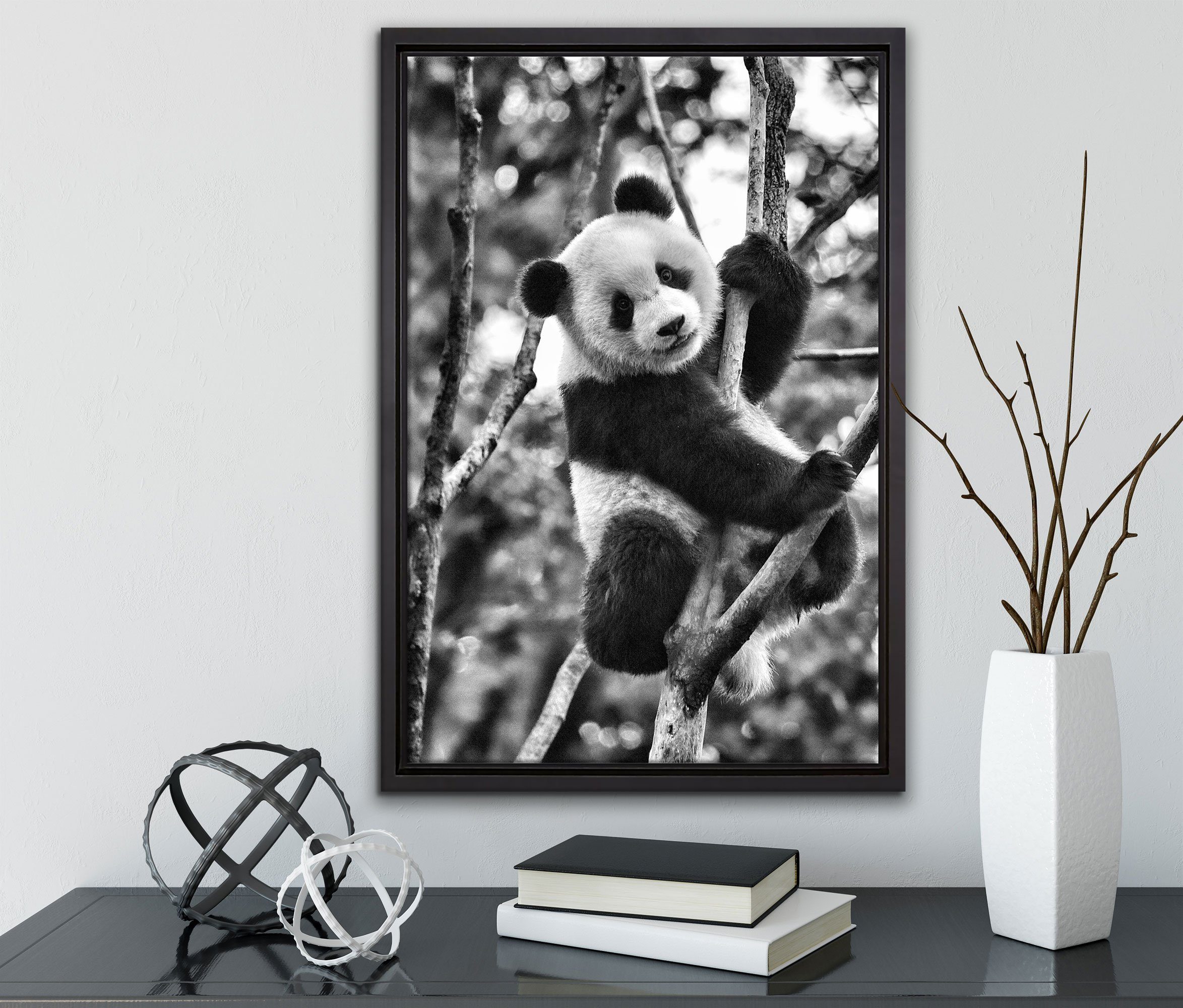 Pixxprint Leinwandbild niedlicher auf inkl. Schattenfugen-Bilderrahmen gefasst, Leinwandbild Zackenaufhänger in Baum, Wanddekoration (1 fertig einem St), Pandabär bespannt