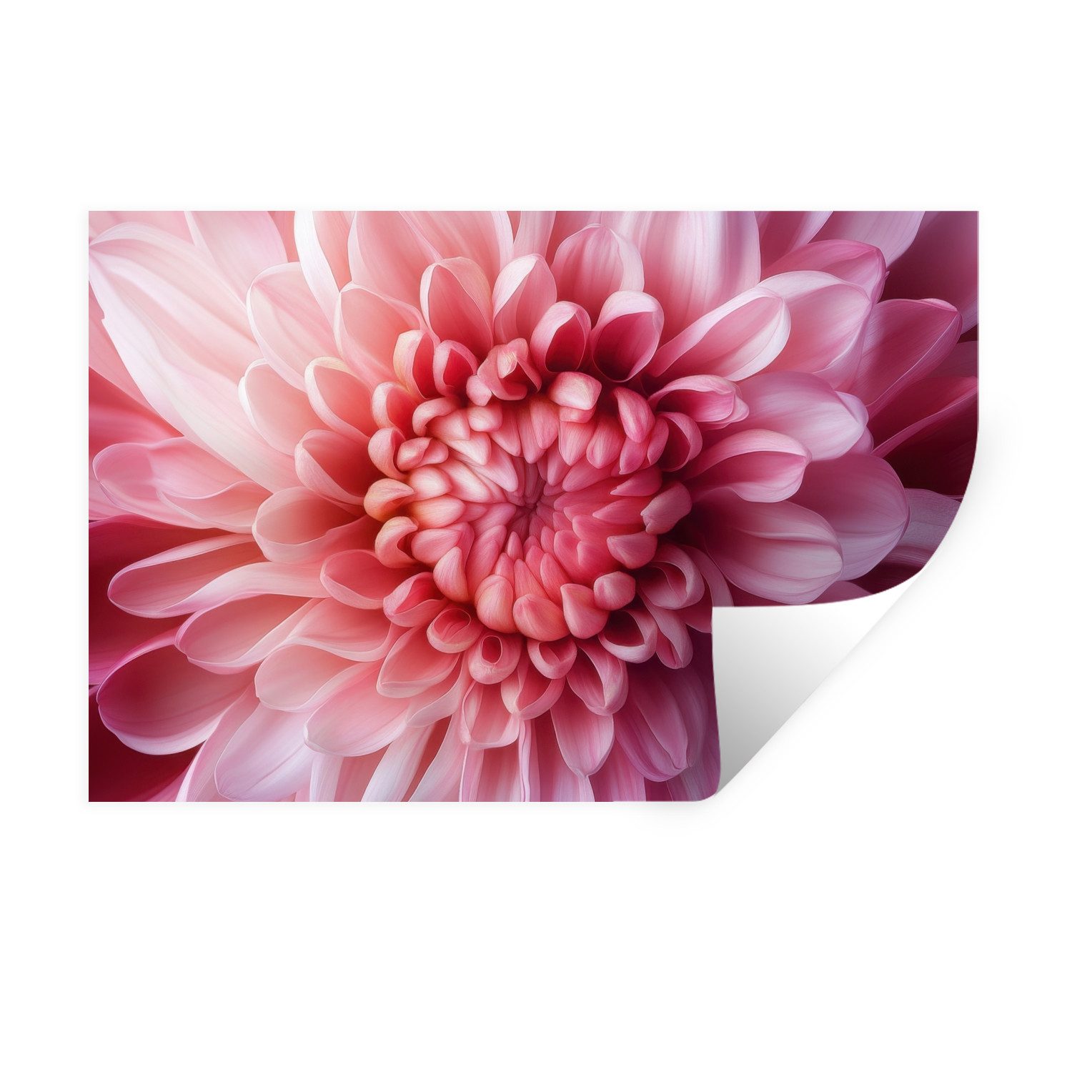 MuchoWow Wandsticker Dahlie - Blume - günstig online kaufen