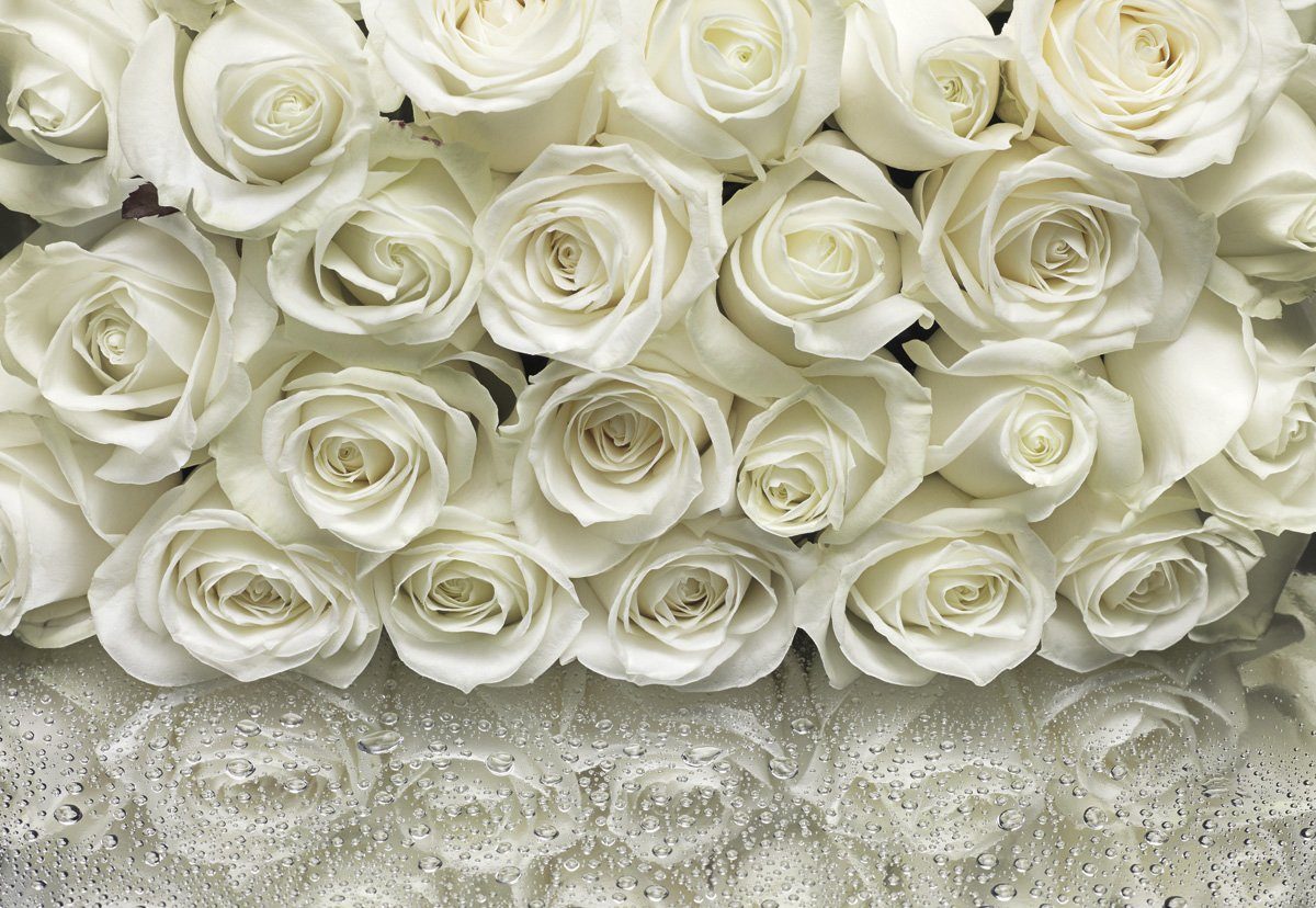 Komar Fototapete A la Rose - Größe 368 x 254 cm, glatt, bedruckt, (Packung, 1 St., Papier Fototapete), Wohnzimmer, Schlafzimmer