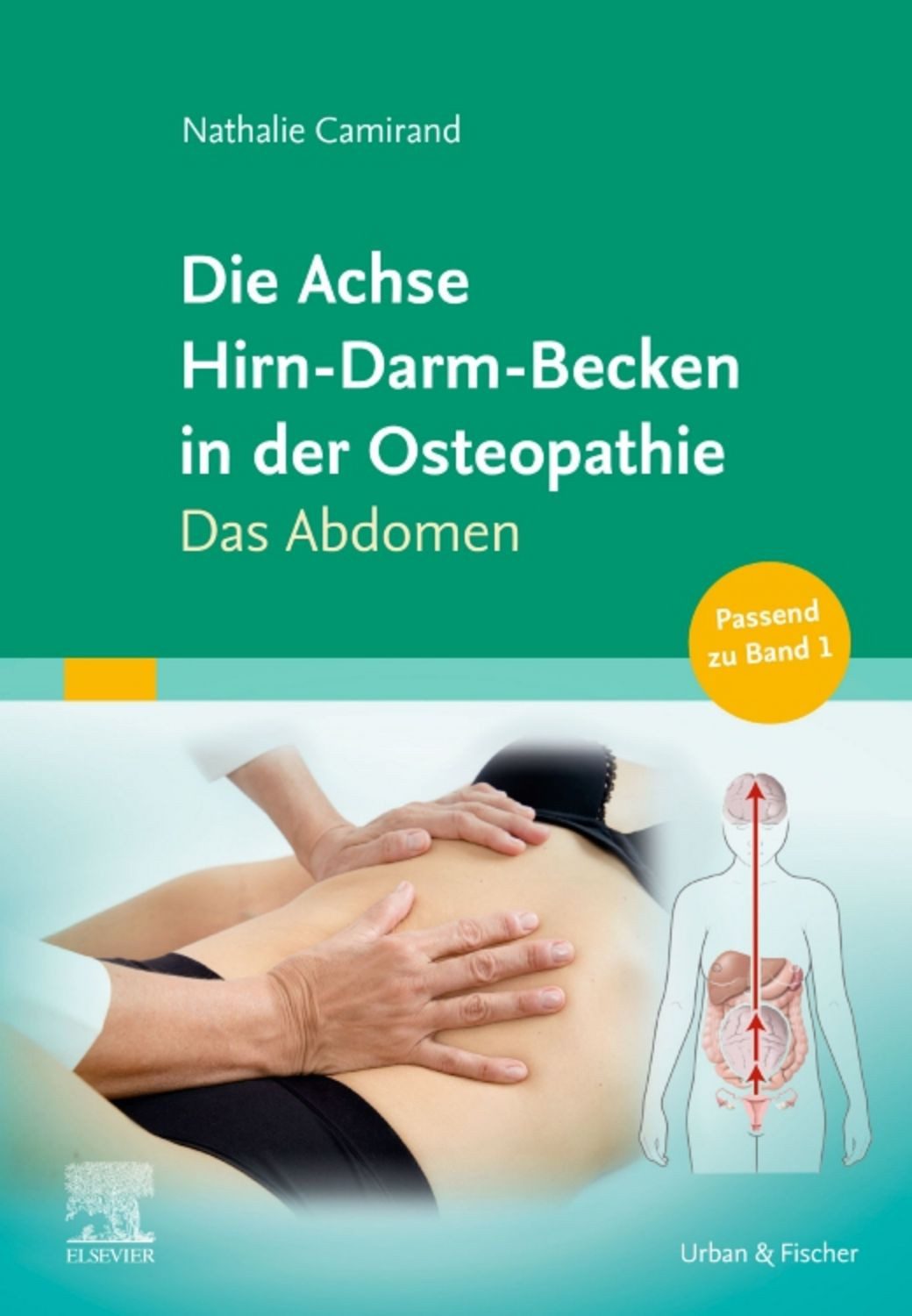 Die Achse Hirn-Darm-Becken in der Osteopathie / Nathalie Camirand