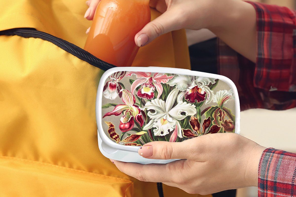 MuchoWow Lunchbox Blumen - Ernst Erwachsene, Orchidee, - Haeckel und (2-tlg), Brotbox Jahrgang Mädchen Brotdose, für und Jungs für Kunststoff, - weiß Kinder